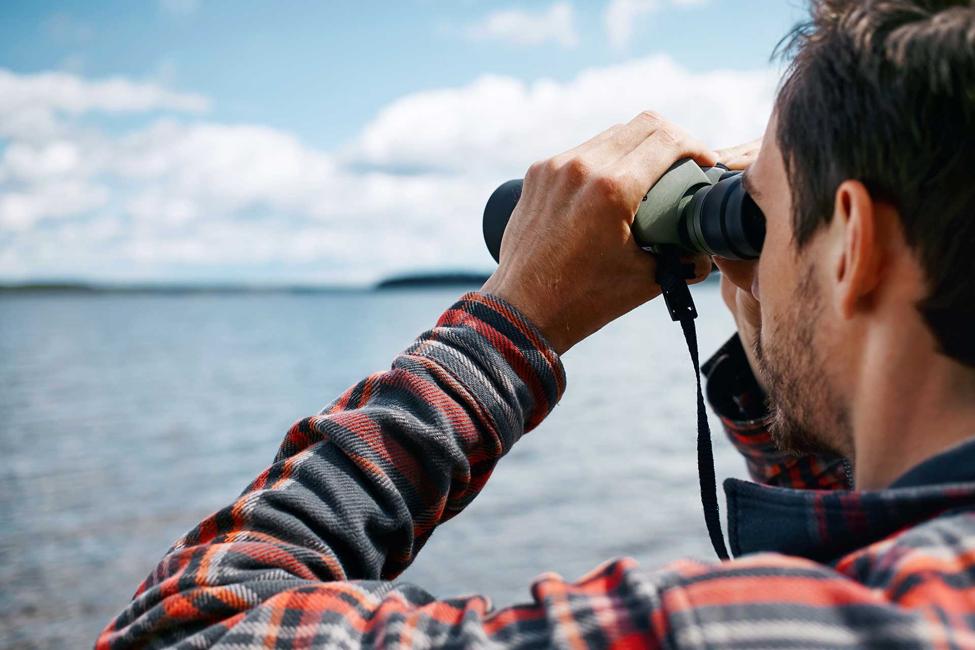 Crow Wing County volunteers sought for DNR loon survey - Vimarsana News