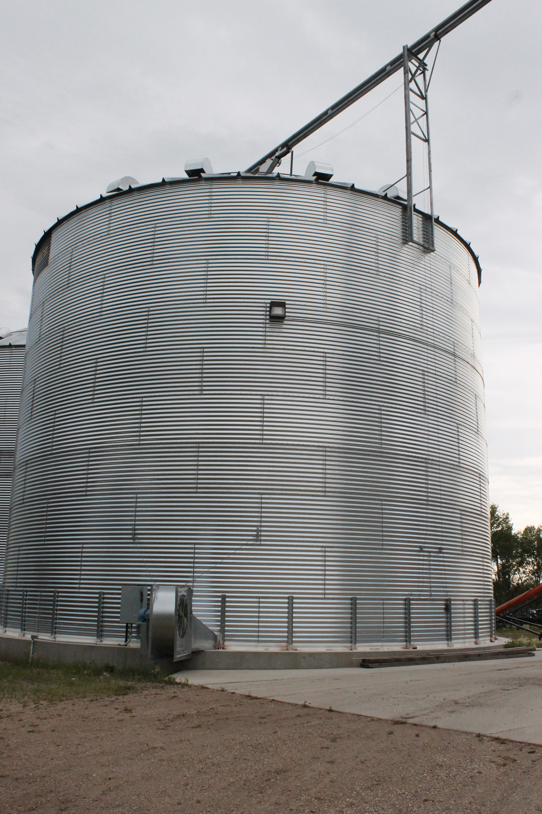 Proper spring grain drying and storage critical - Vimarsana News