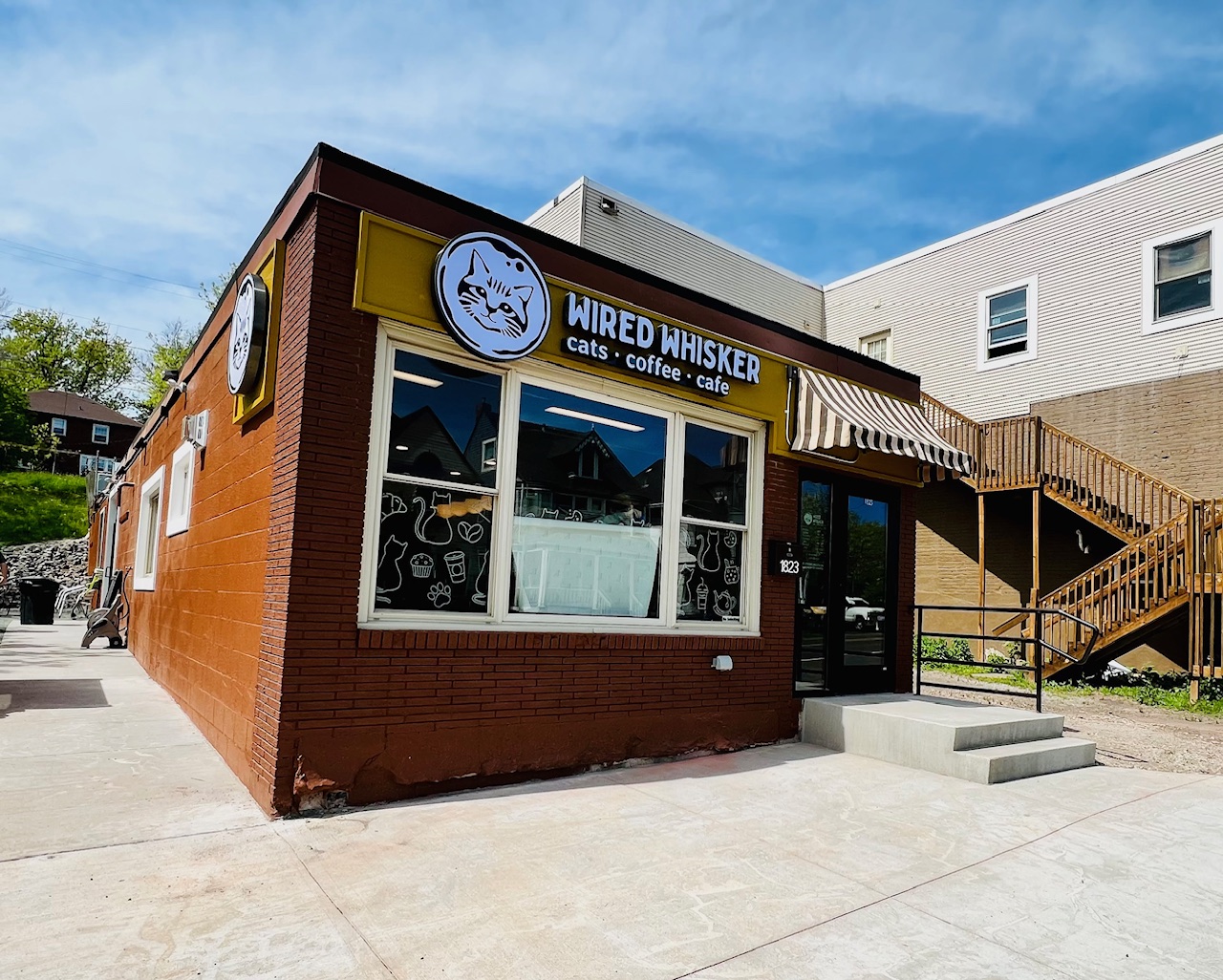 'Meow' open: Duluth's first cat cafe partners with pet rescues - Vimarsana News