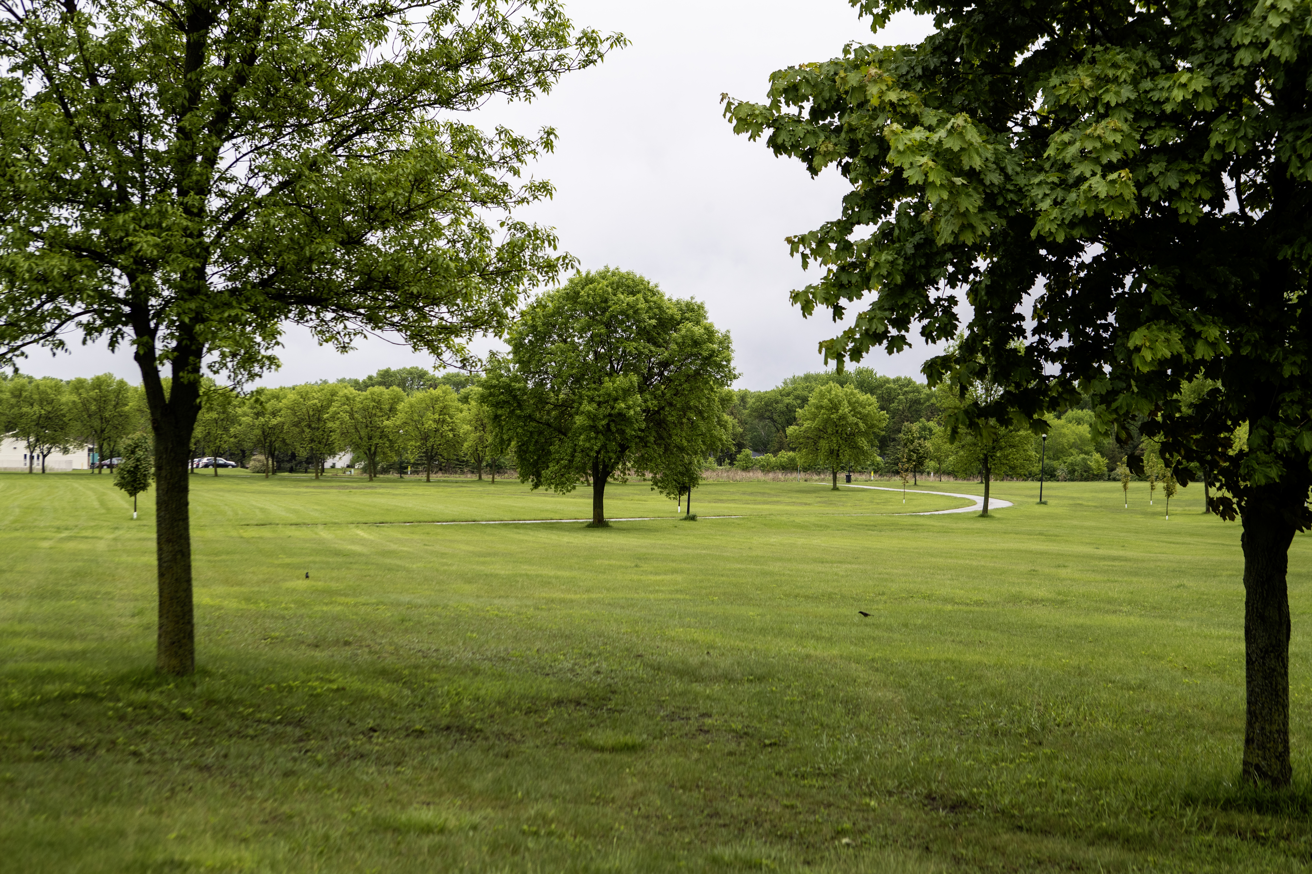 Willmar City Council cancels sale of parkland - Vimarsana News
