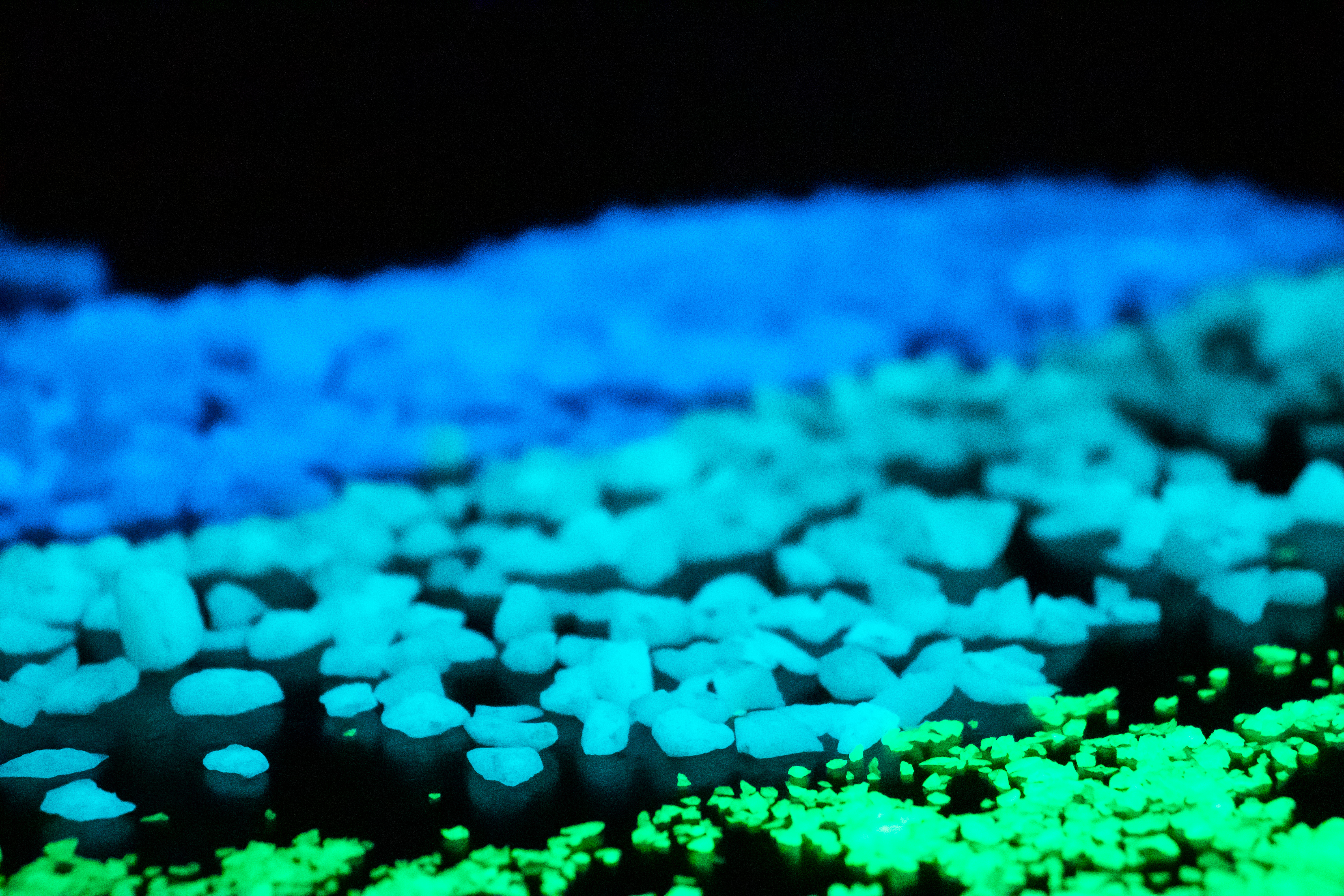 30 years after discovery, NDSU researcher finds how the material in products keeps glowing - Vimarsana News