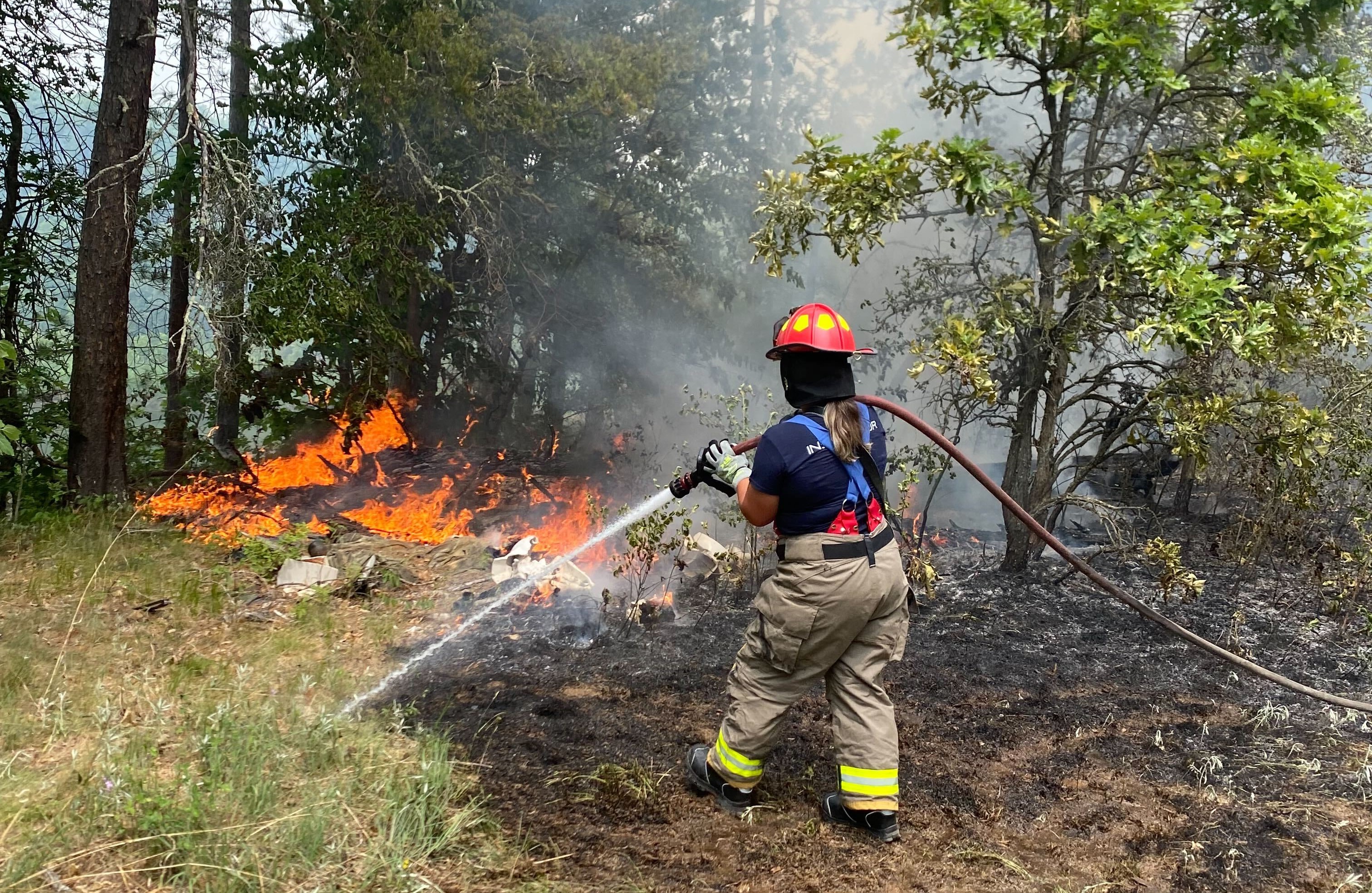 Wildfire along the Pine River burns 5 acres - Vimarsana News