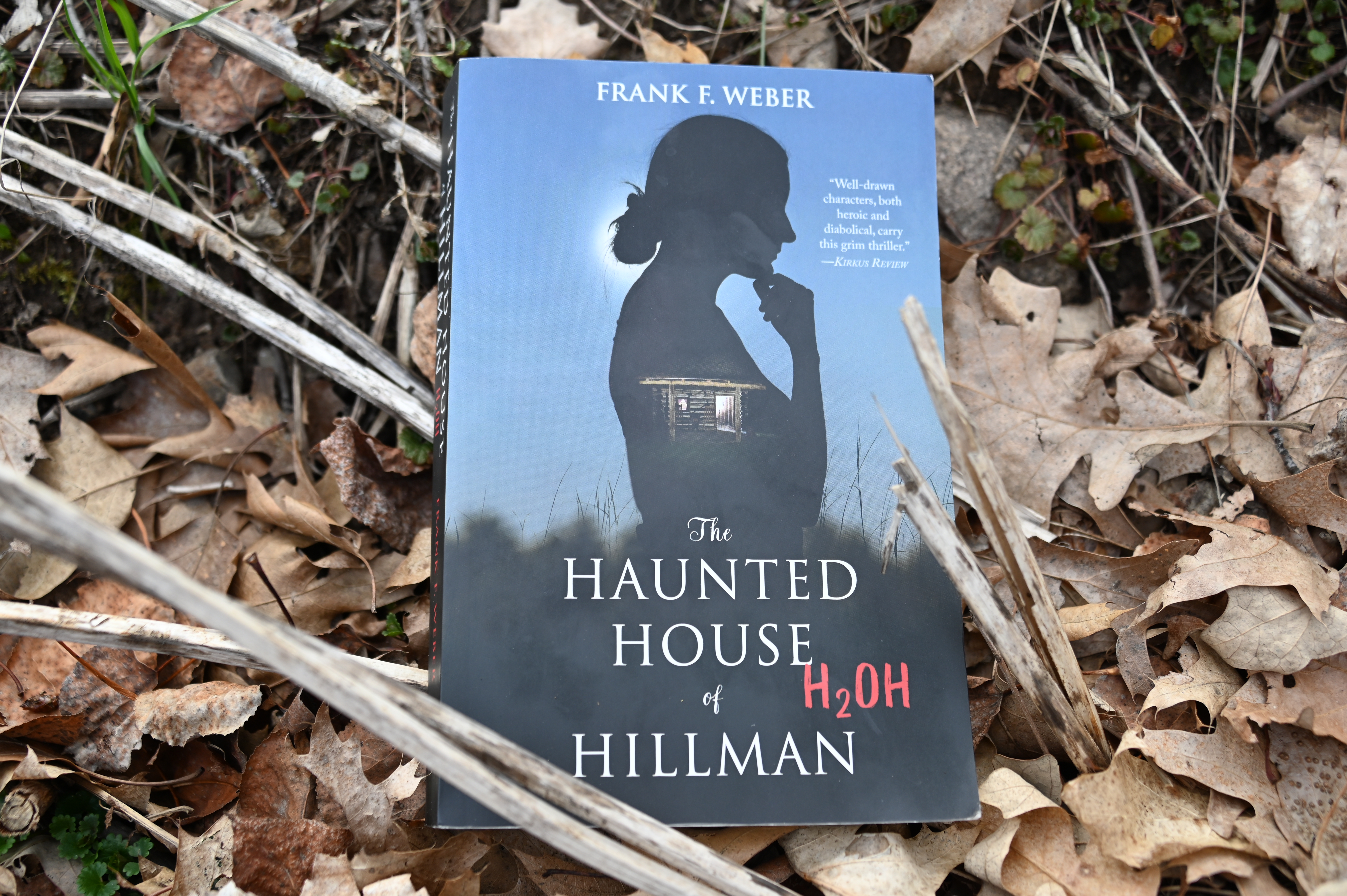 Bourke's Bookshelf: Hard times in Hillman - Vimarsana News