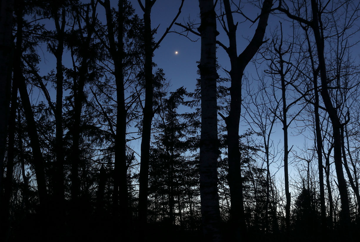 Astro Bob: See 5 planets line up after sunset - Vimarsana News