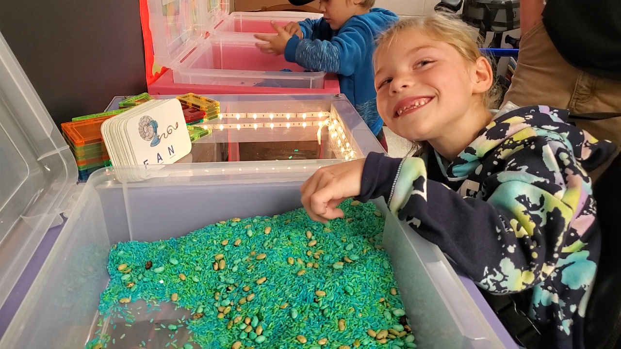 'We knew we had something sweet:' Wyndmere ag students build sensory station for 2nd grader - Vimarsana News