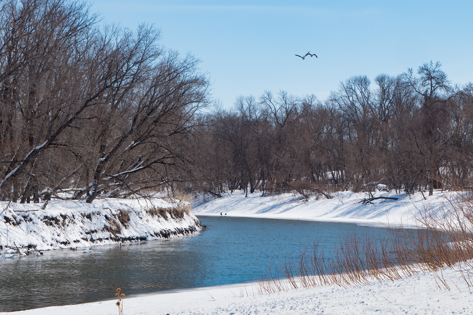 Warming temperatures across region will unleash 'significant melting' over next 2 weeks - InForum | Fargo, Moorhead and West Fargo news, weather and sports - Vimarsana News