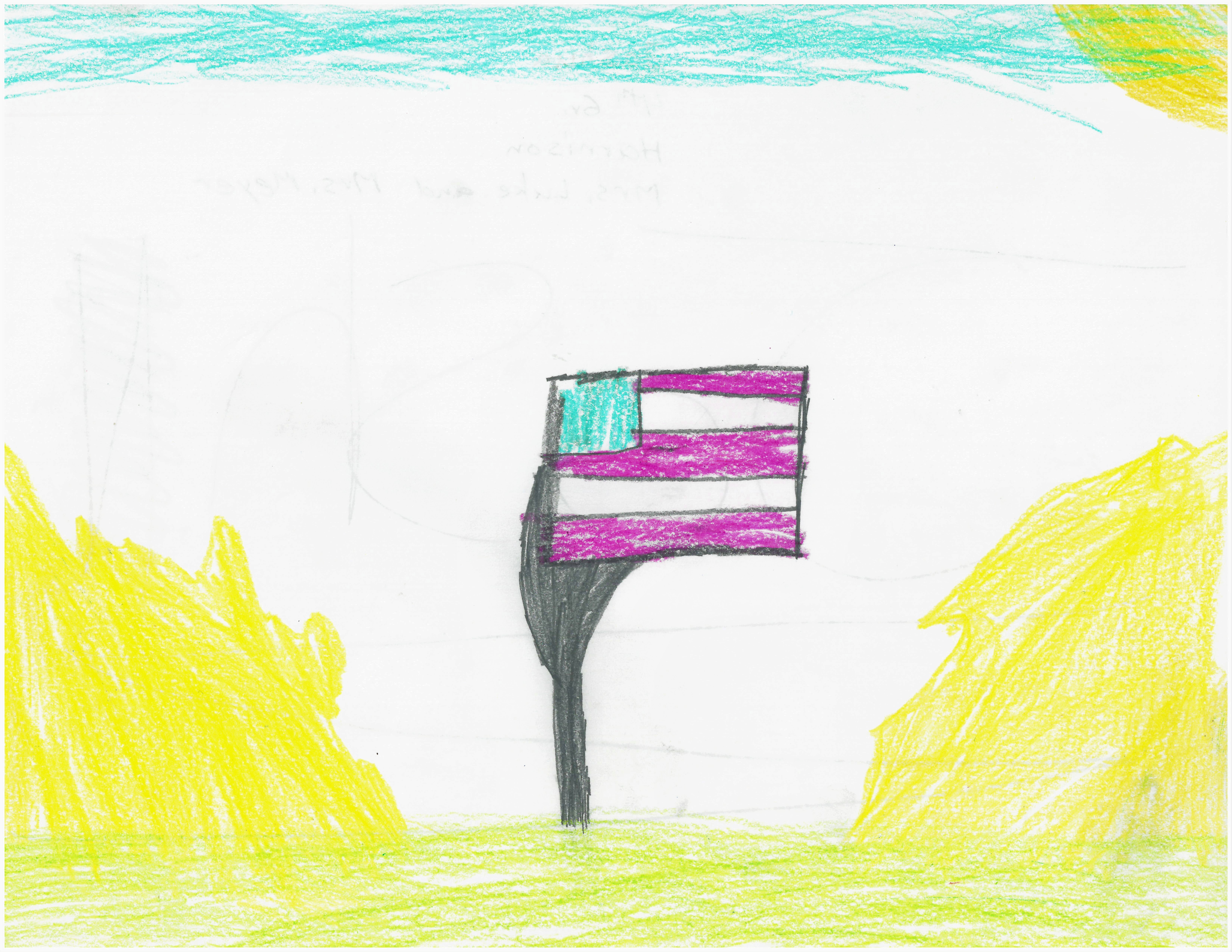 Weather Drawing: Keep flying the colors - Vimarsana News