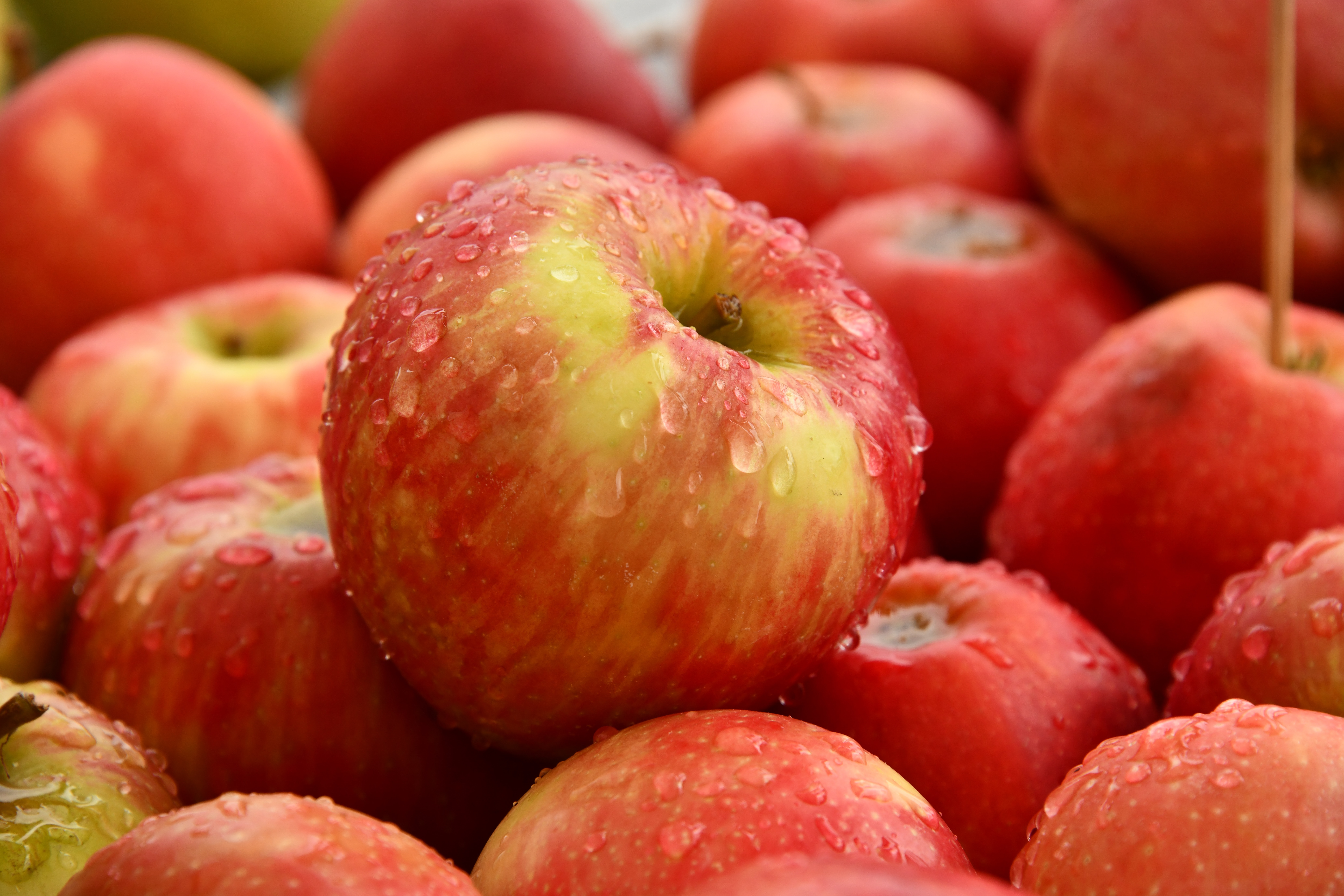 Area schools get more than $55,000 in grants through Farm to School program - Vimarsana News