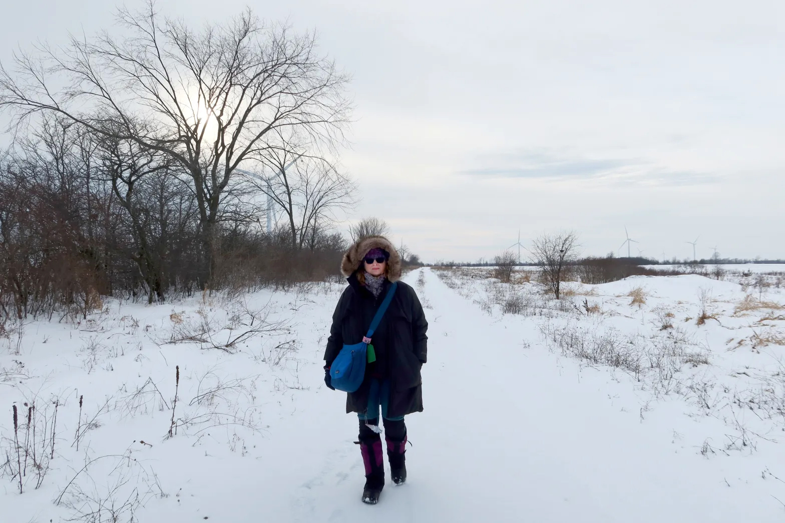 Jannet Walsh, Murdock's own 'Irish Bard,' finds family roots on Wolfe Island, Canada - West Central Tribune - Vimarsana News