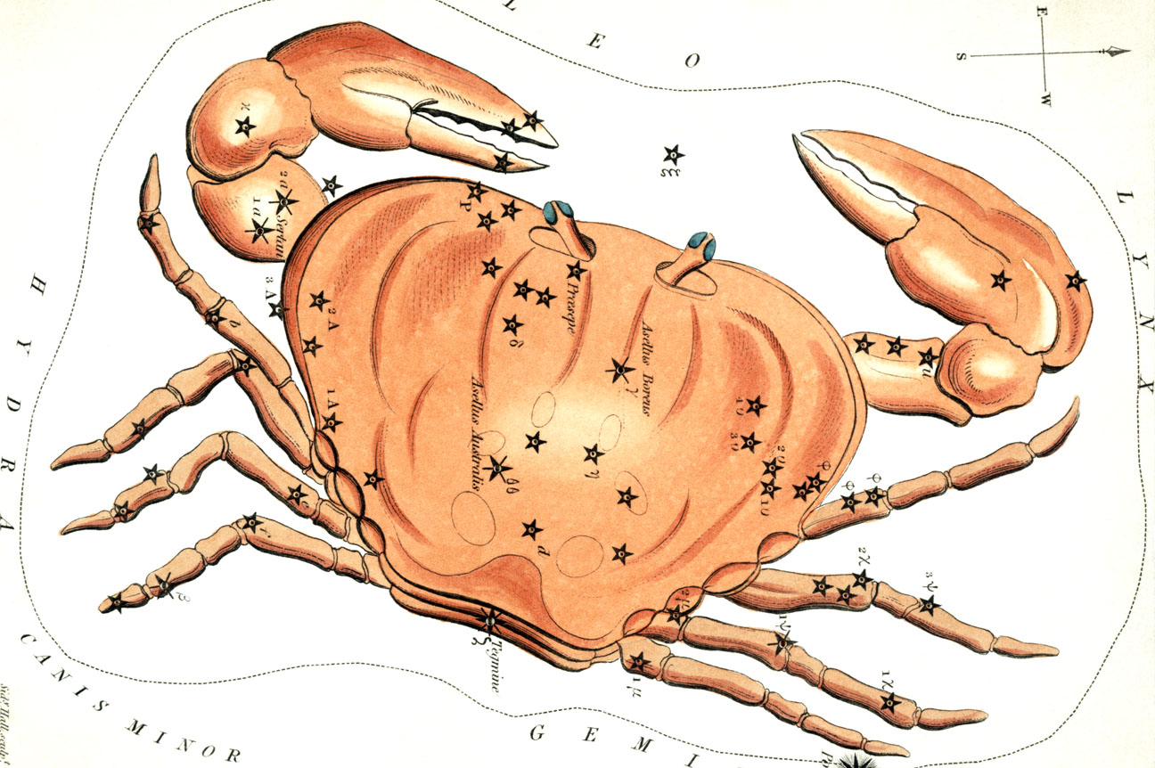 Astro Bob: Quest to find Cancer - Vimarsana News