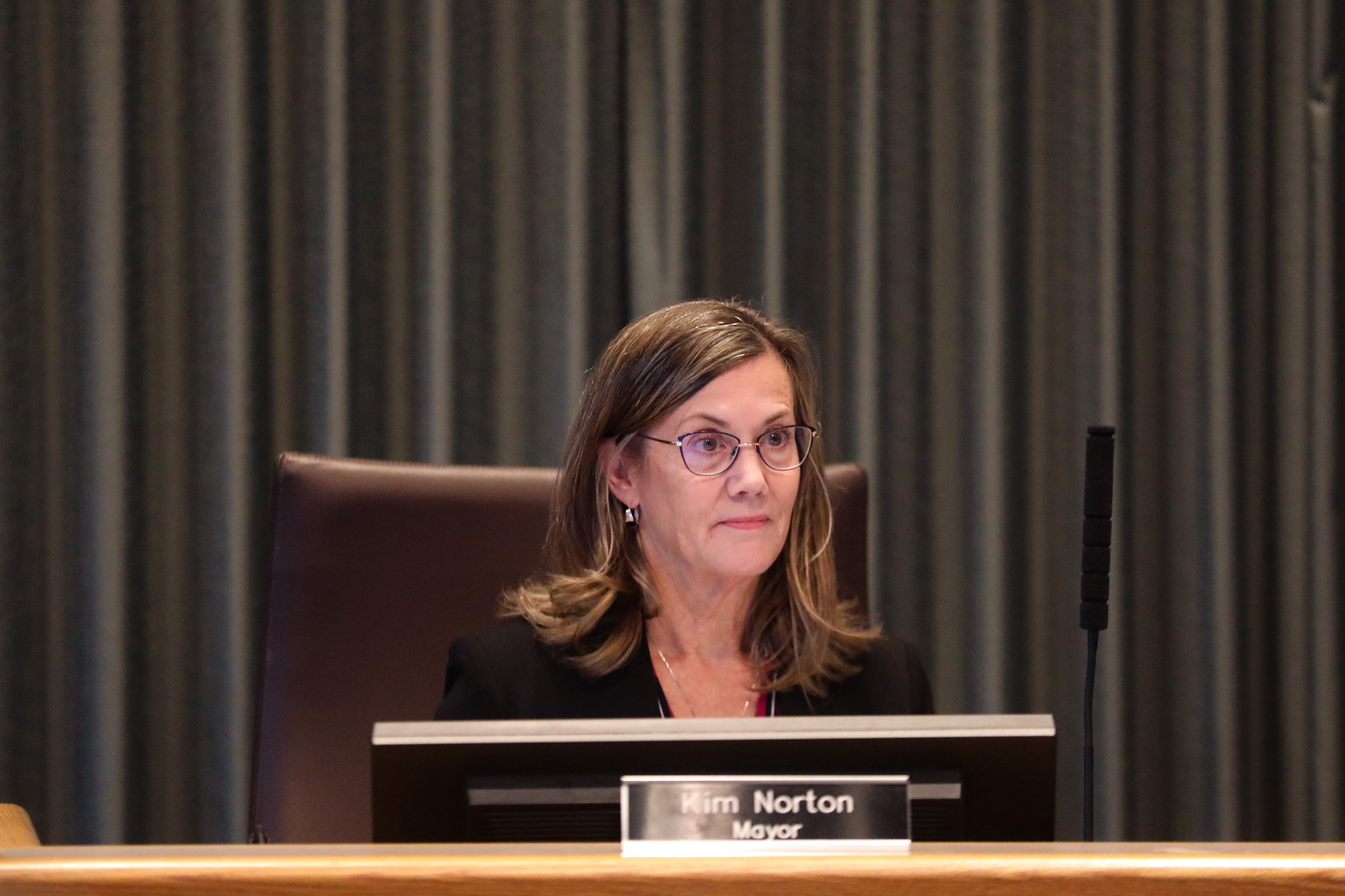 Rochester council pitches in to support mayor's visioning effort - Vimarsana News