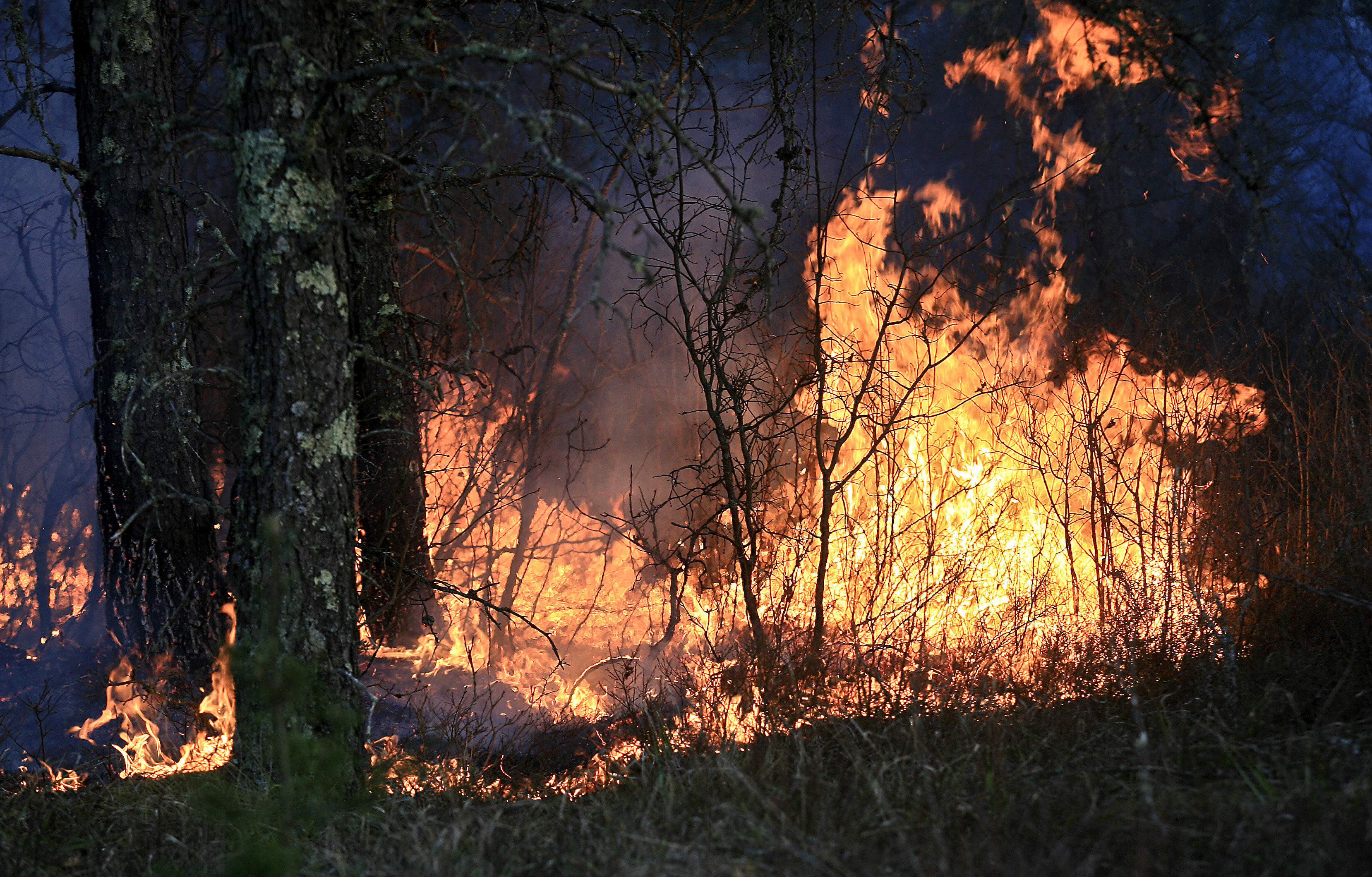 As tinder-dry conditions plague Northland, officials seek wildfire grants - Vimarsana News