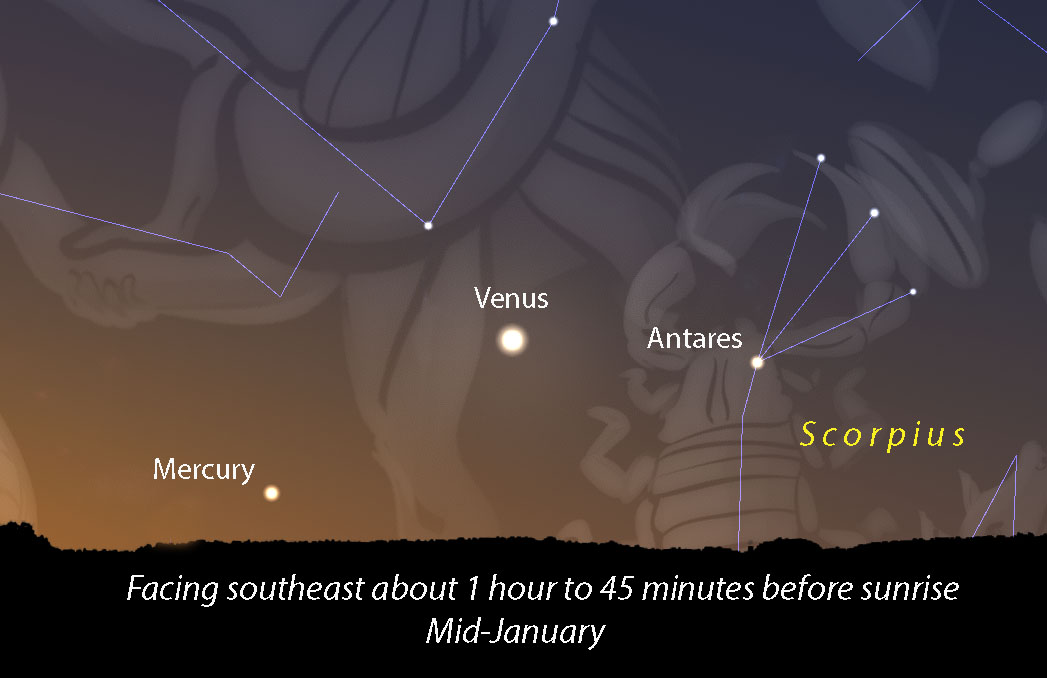 Astro Bob: Mercury and Venus hold court at dawn - Vimarsana News