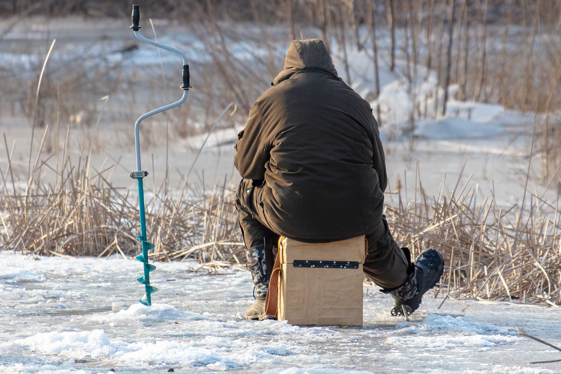 Neither fish nor a white Christmas guaranteed - Vimarsana News