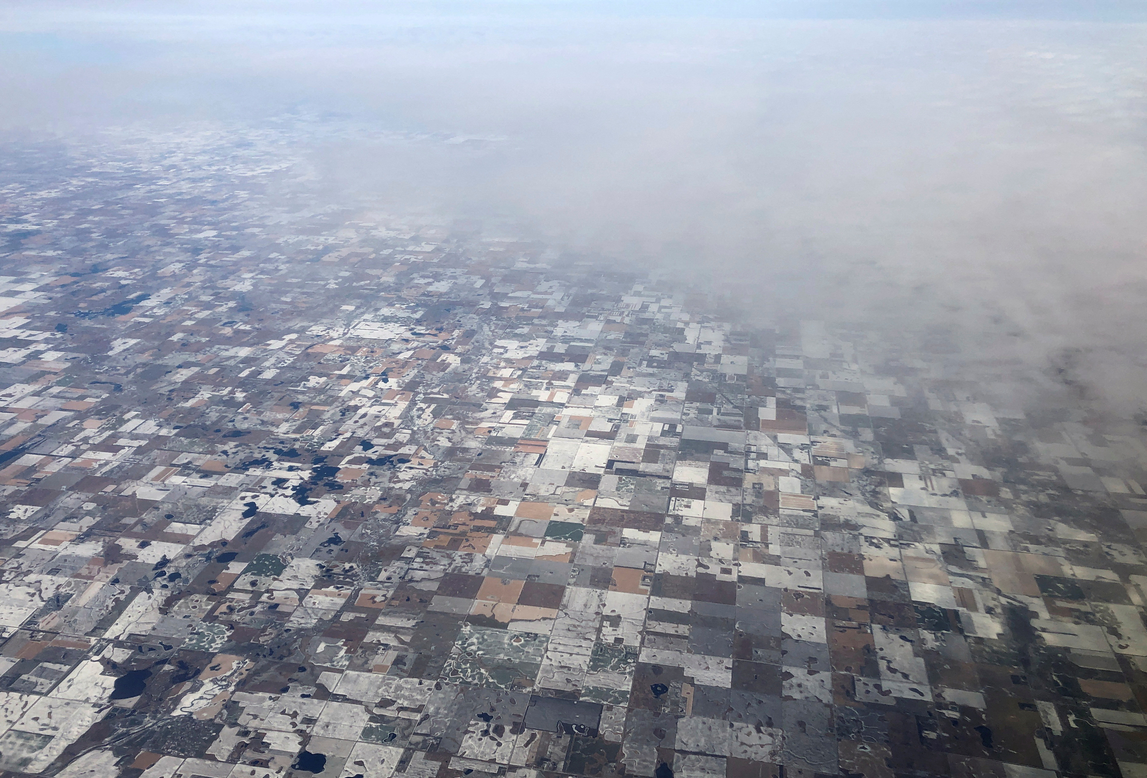 Brutal cold spell nips US winter wheat, stresses livestock - Vimarsana News