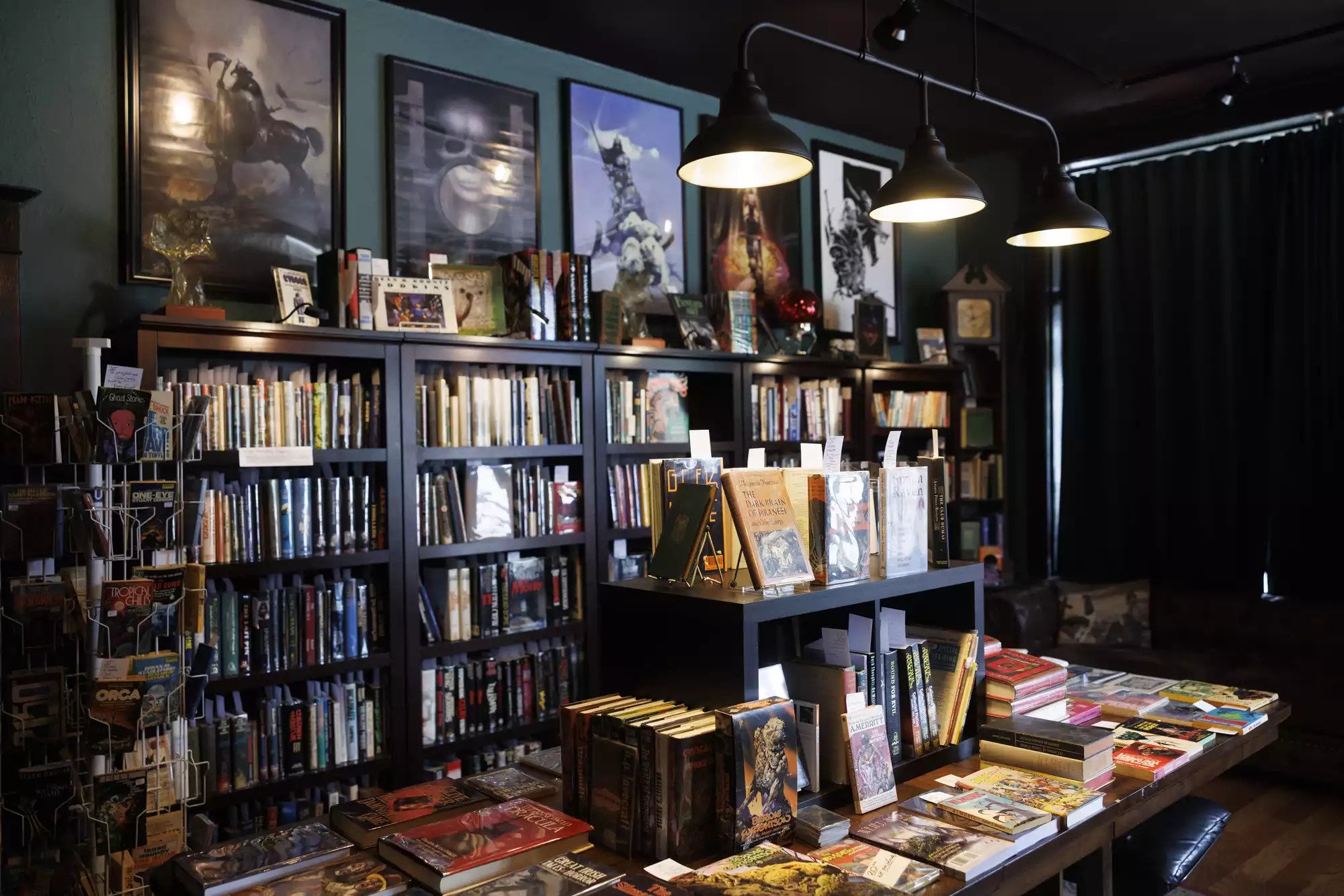 Independent bookstores on the rise in Minnesota, each with a story of their own - Vimarsana News