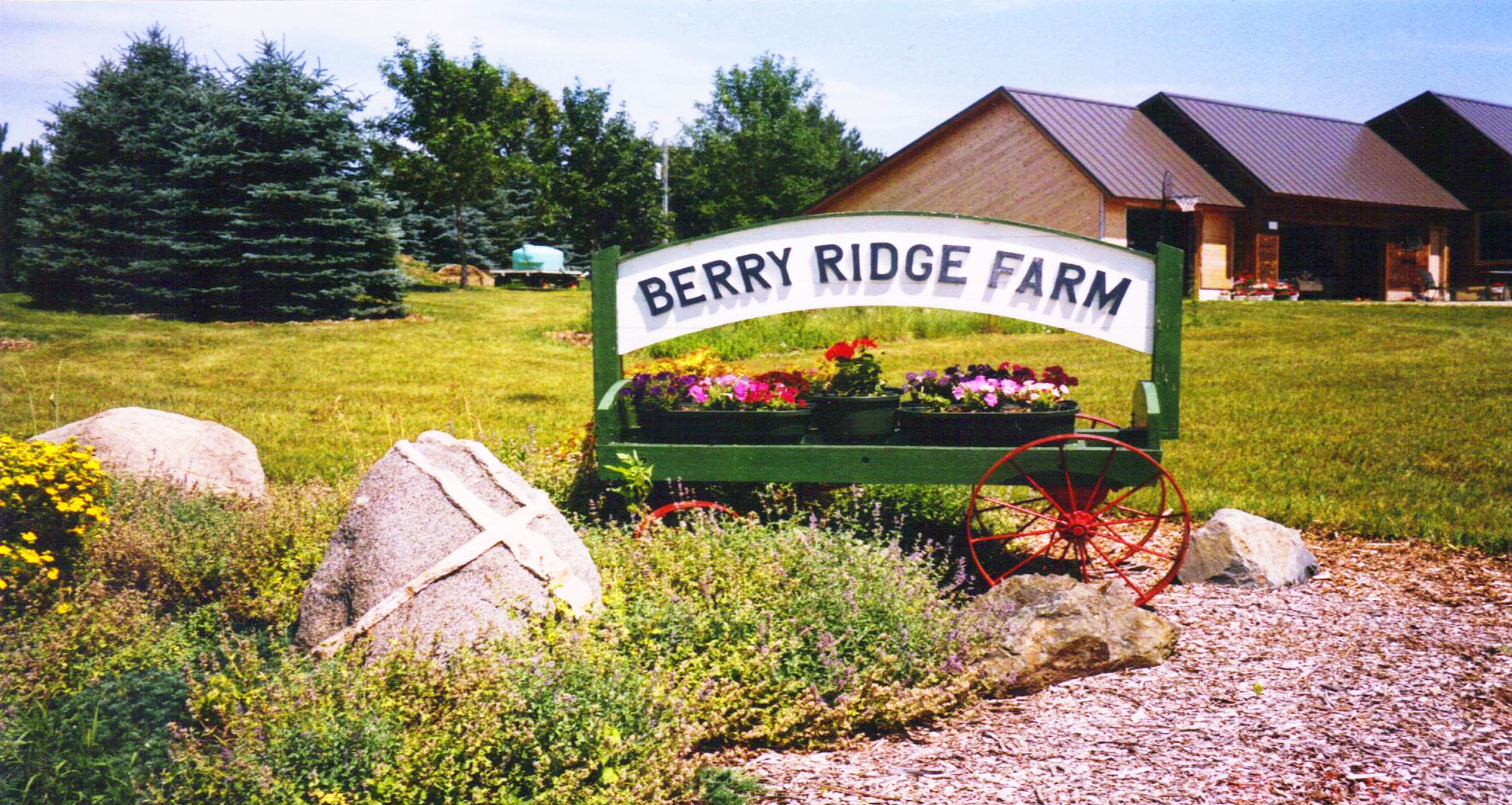 It's all about the connections – families, friends, fresh food – for Berry Ridge Farm in Alexandria - Alexandria Echo Press - Vimarsana News
