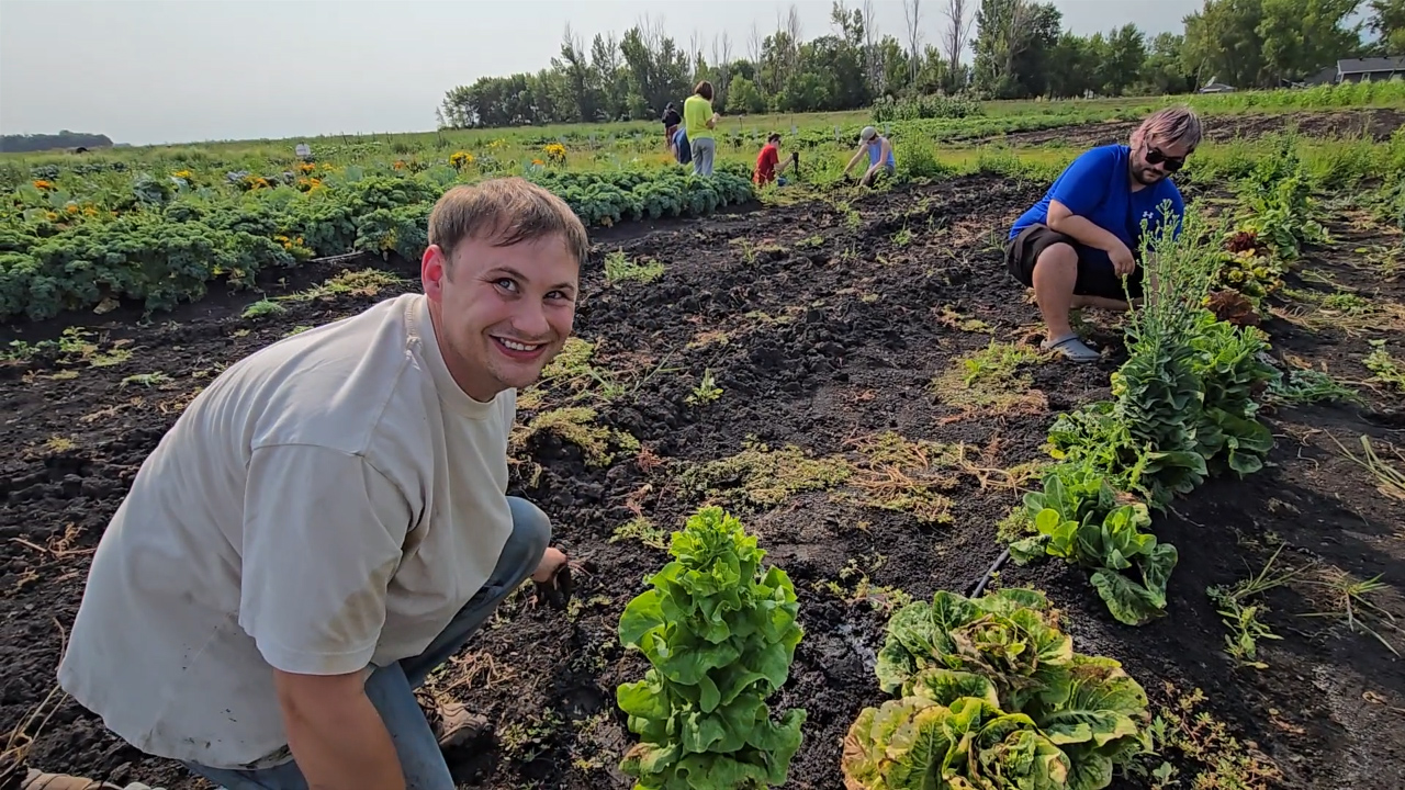 В Северной Мурхеде ферма «Farm in the Dell» расширяет команду из 35 оплачиваемых сотрудников с инвалидностью