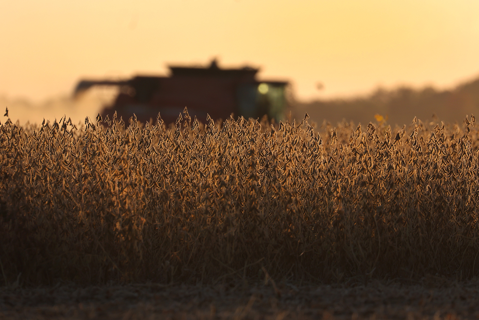 Katie Brimm: If we want climate-friendly food, we should support young farmers - Vimarsana News