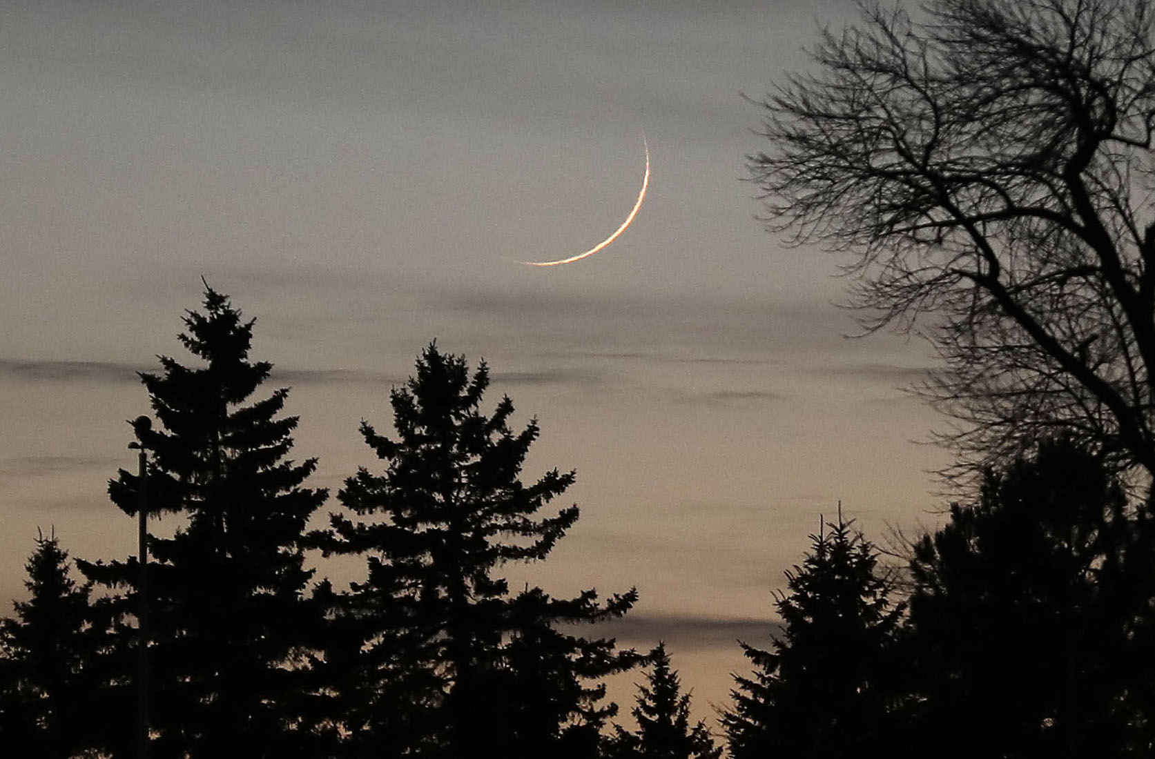 Astro Bob: Slender moon smiles in the western sky - Vimarsana News