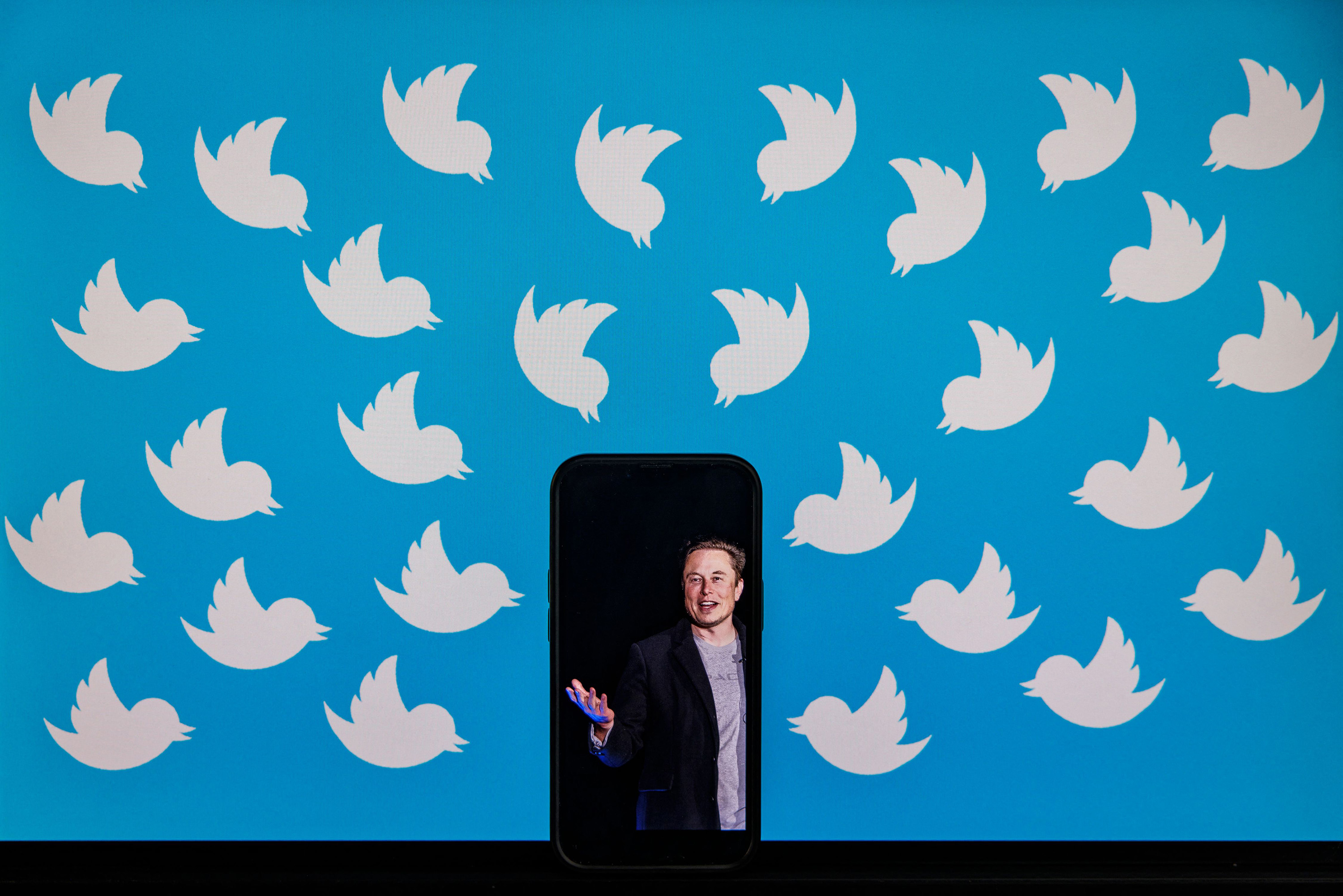 Robin Abcarian: Elon Musk's Twitter chaos came calling for me - Vimarsana News
