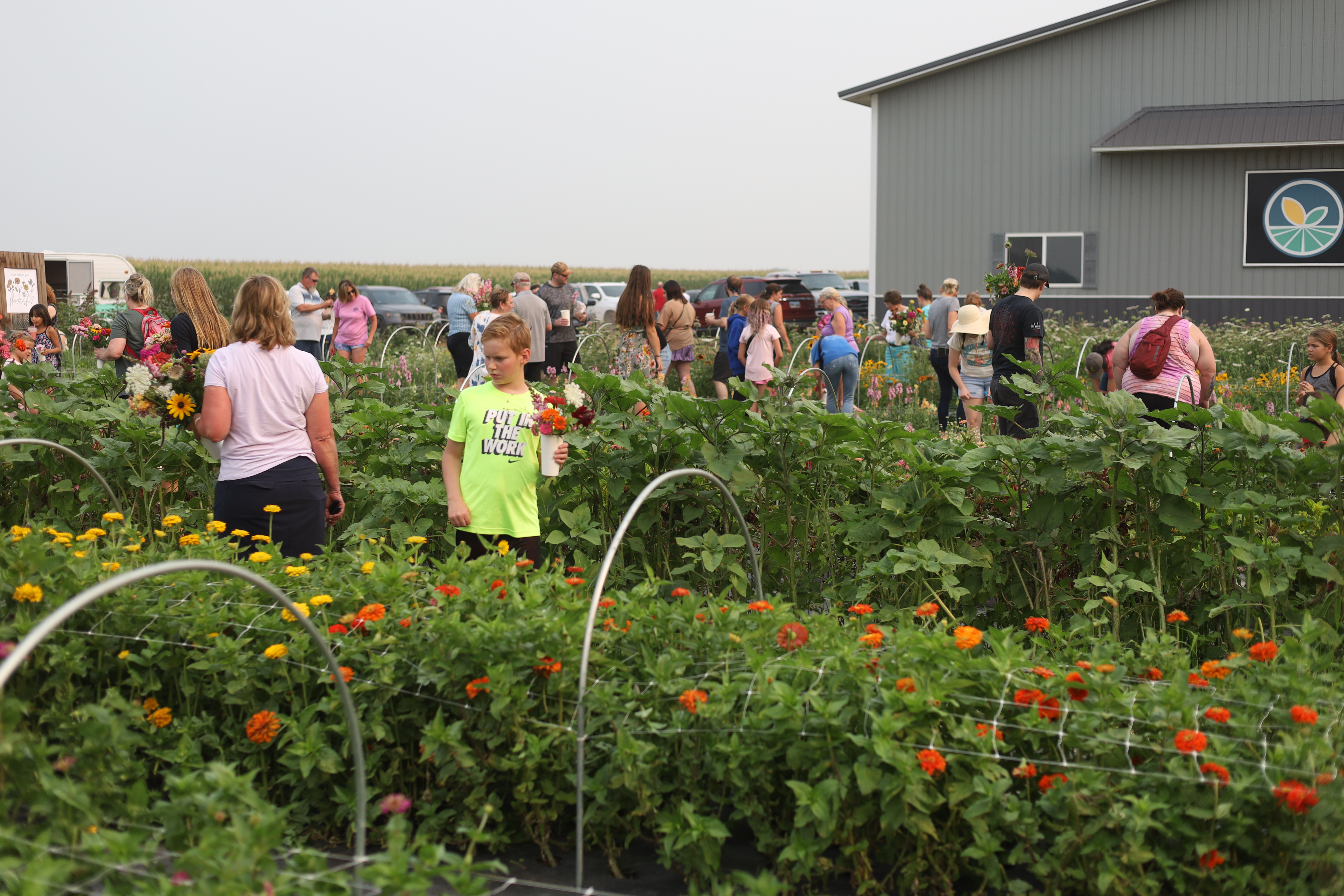 Fleurish Flower Farm hosts first U-Pick event of the season - Vimarsana News