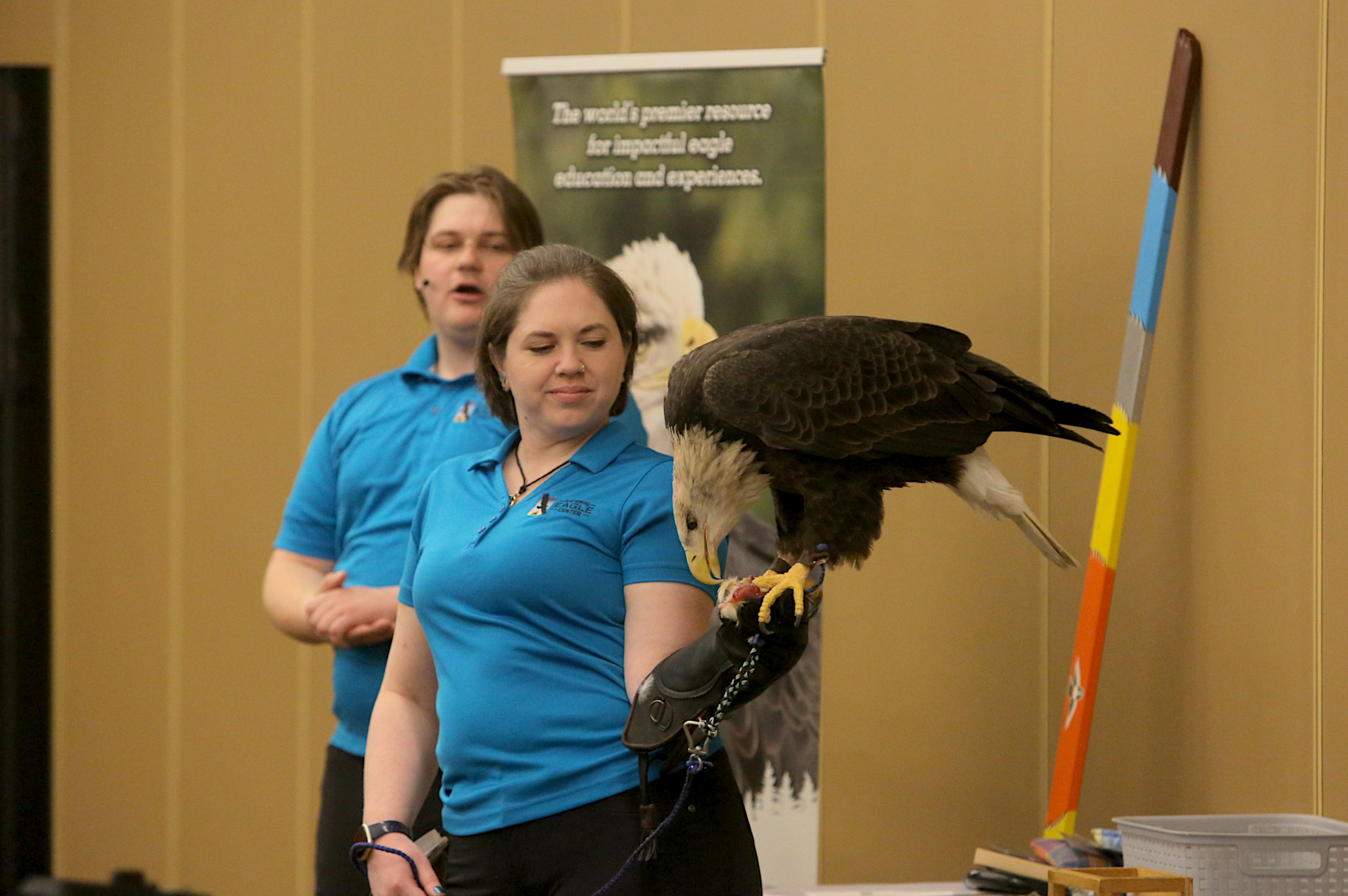 Rochester Area Foundation grant helps eagle education takes off - Vimarsana News