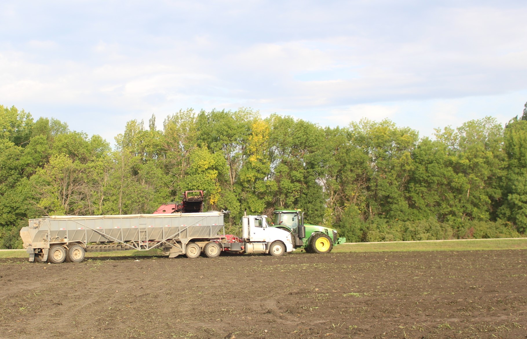 American Crystal Sugar Co. beet stock sets record high price - Grand Forks Herald | Grand Forks, East Grand Forks news, weather & sports - Vimarsana News