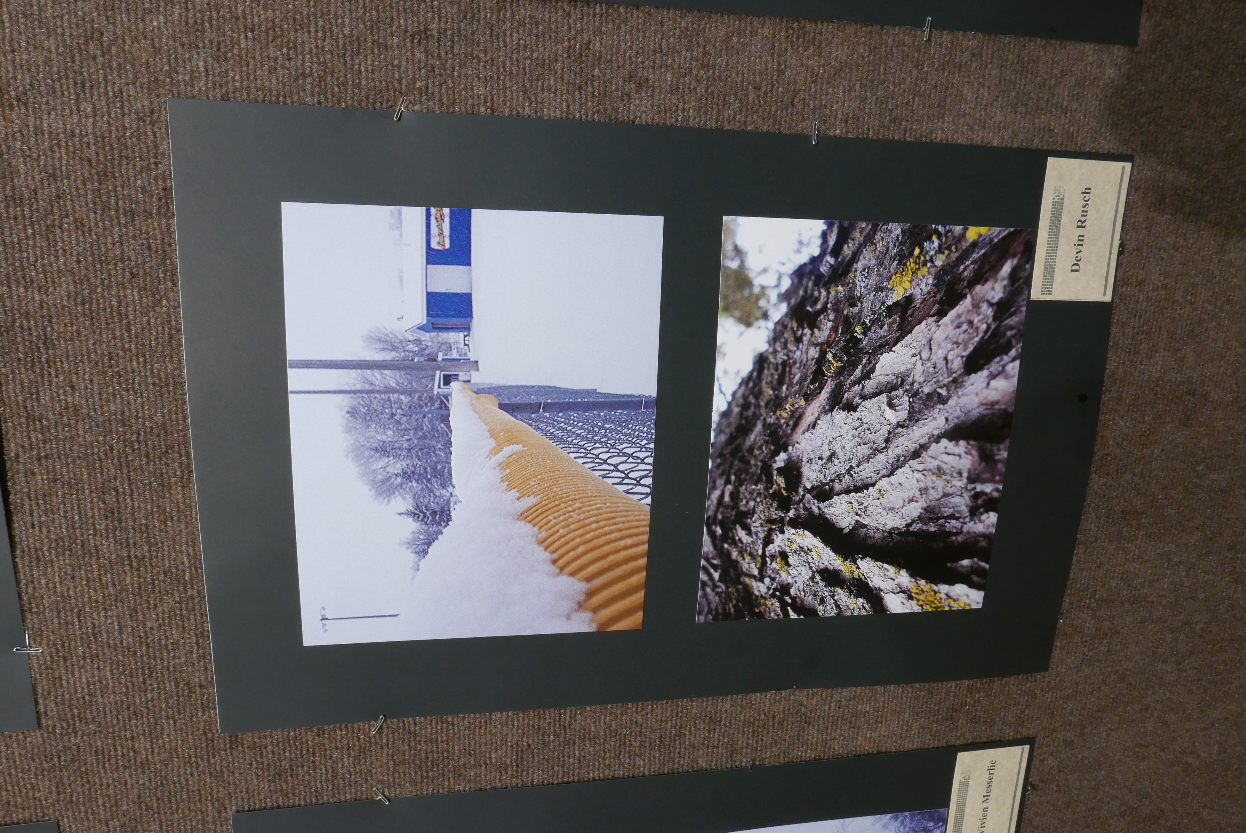 Evansville Art Center displaying works by young photographers - Vimarsana News