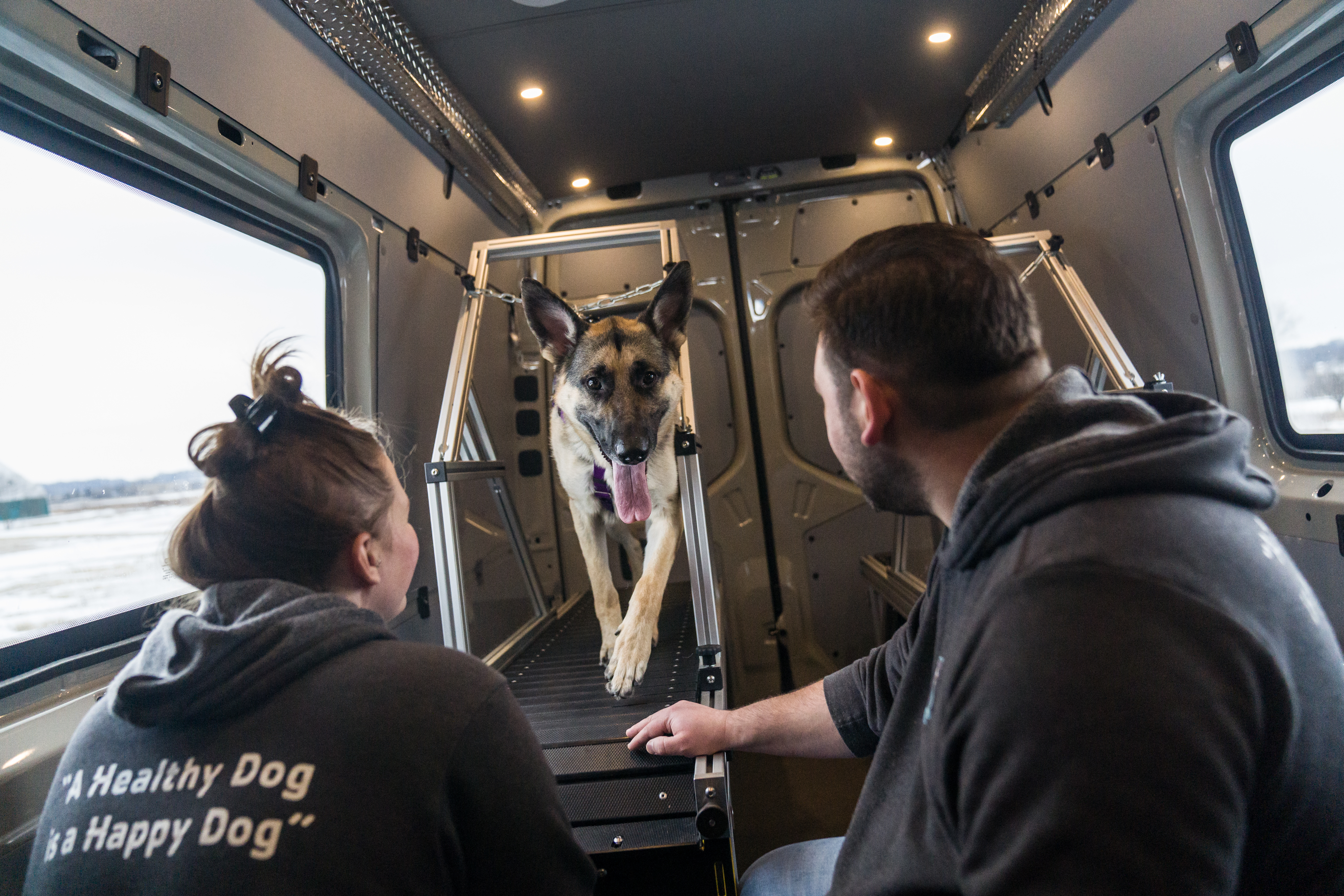 K9 Sprinter gets every dog at their best running game across Rochester - Vimarsana News