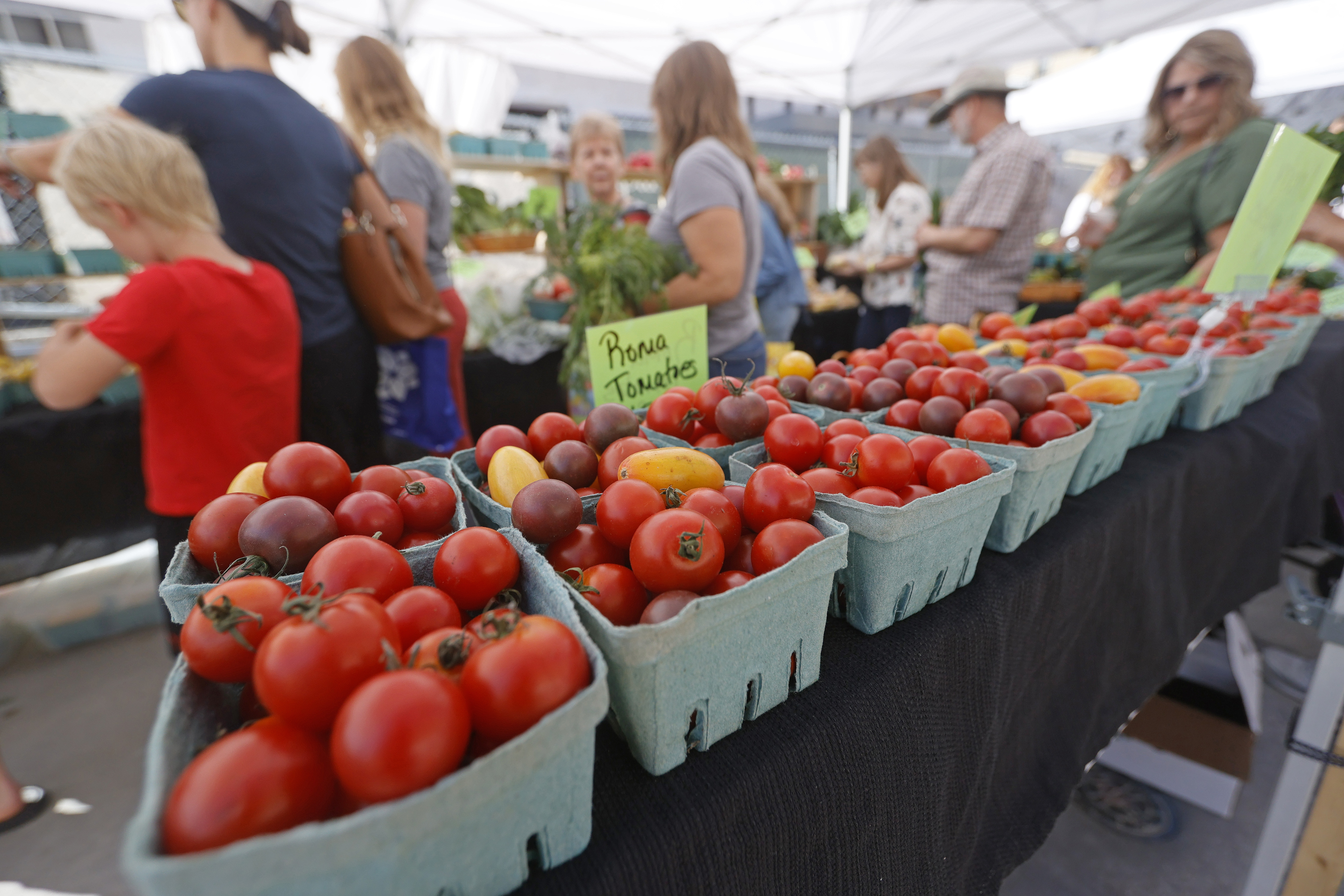 Red River Market, Puddle of Mudd, veterans fundraiser top events in Fargo this weekend - InForum | Fargo, Moorhead and West Fargo news, weather and sports - Vimarsana News