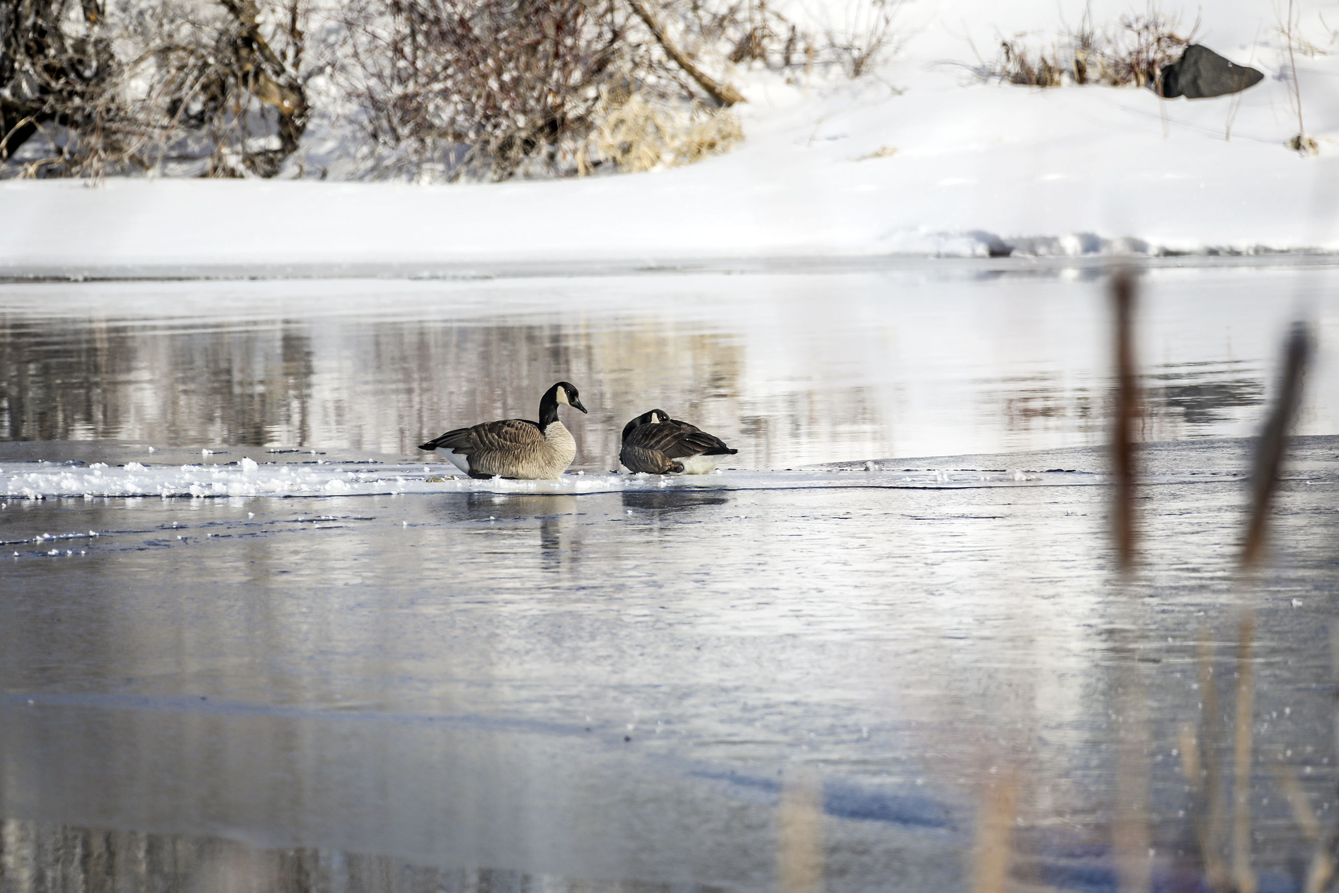 PHOTOS OF THE MONTH: Meandering through March - Vimarsana News