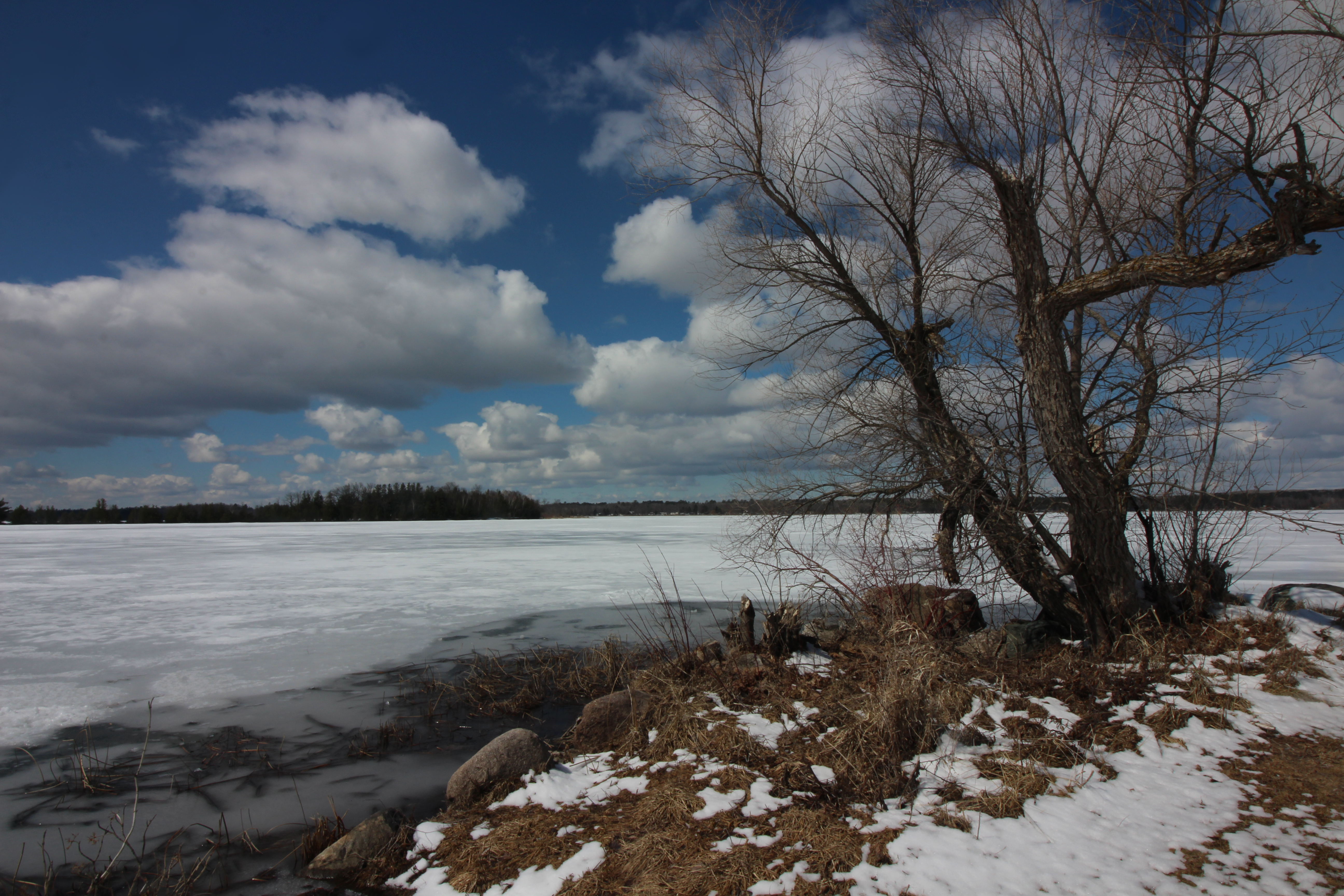 Ice-out may be late, expert says - Vimarsana News