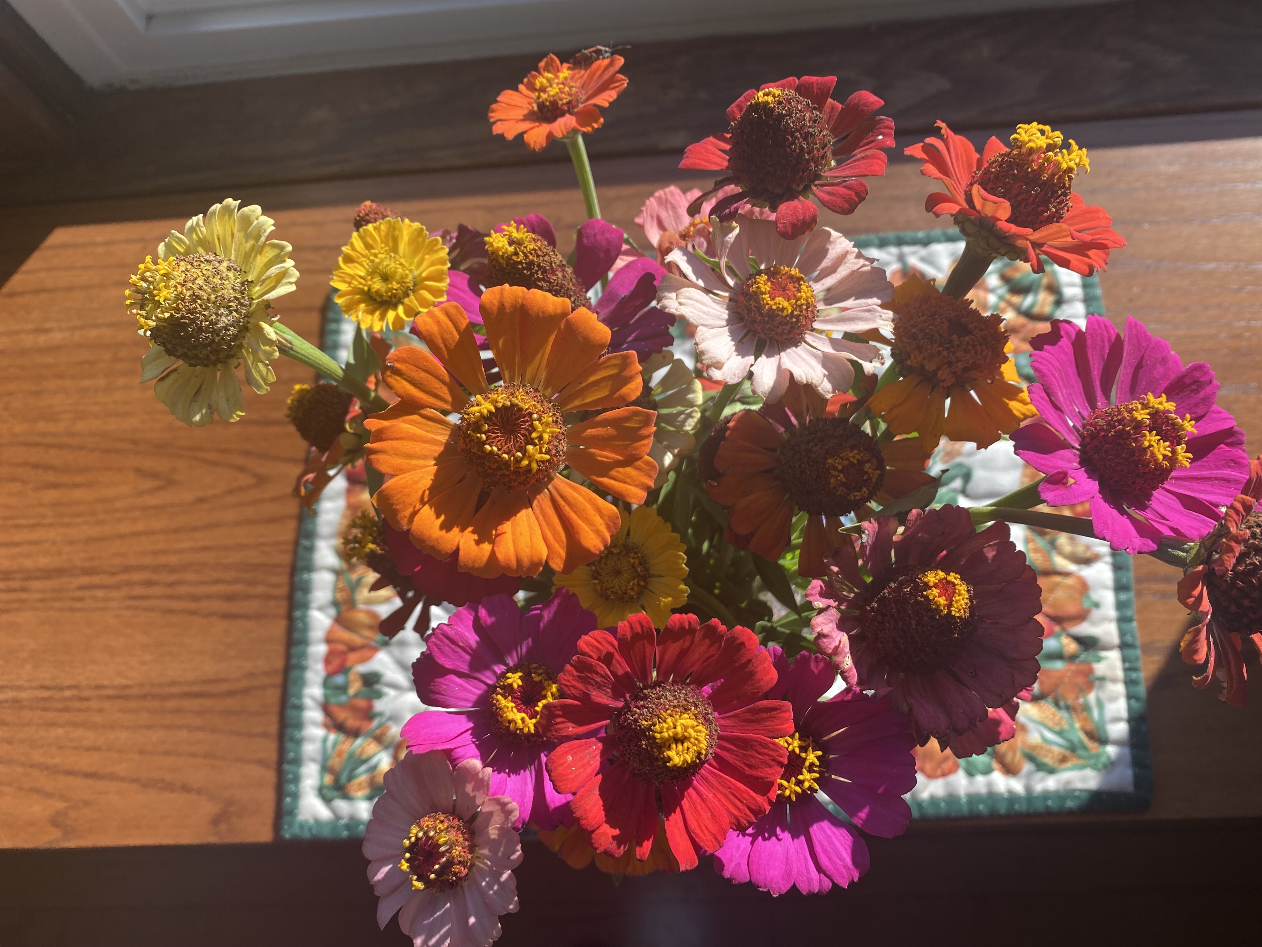 Planting the seeds of hope for warm weather - Vimarsana News