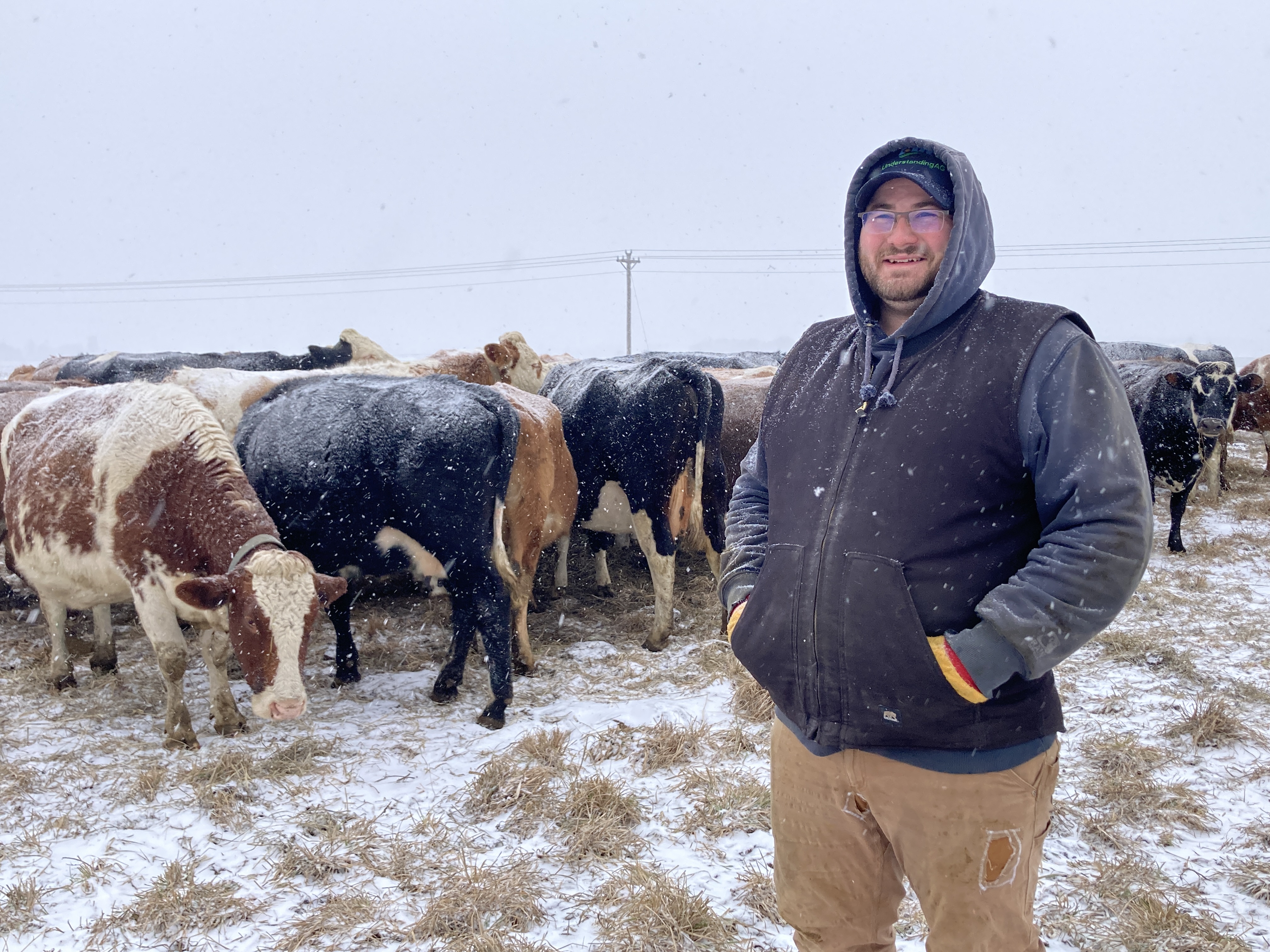 Cows at Grassrich Dairy are almost always out to pasture - Vimarsana News