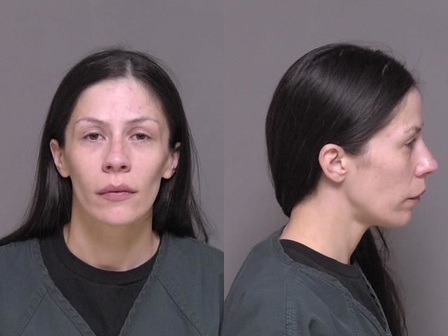 Rochester woman charged with assaulting friend and crashing car while drunk - Vimarsana News