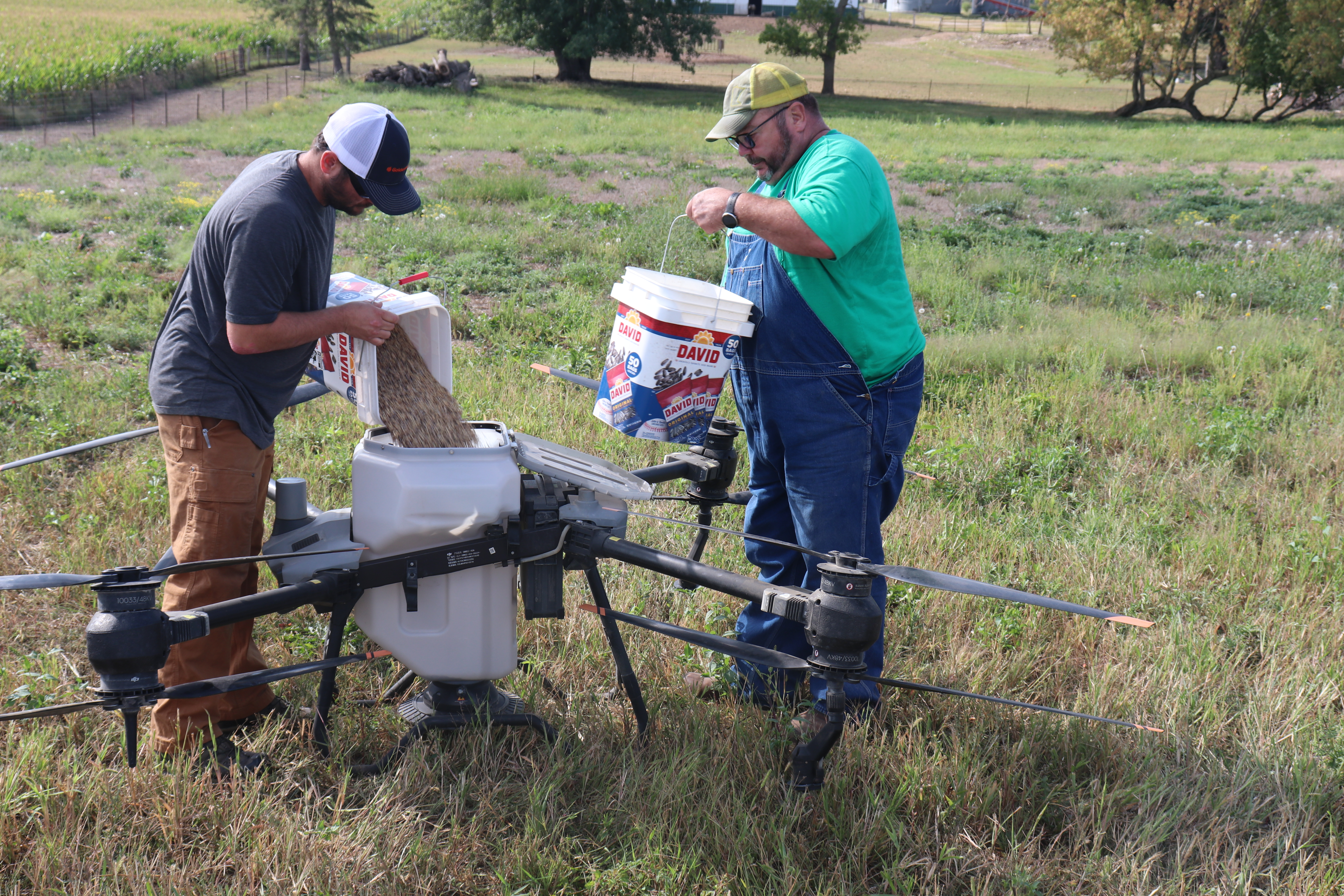 Study takes deep dive on Minnesota cover crop data - Vimarsana News
