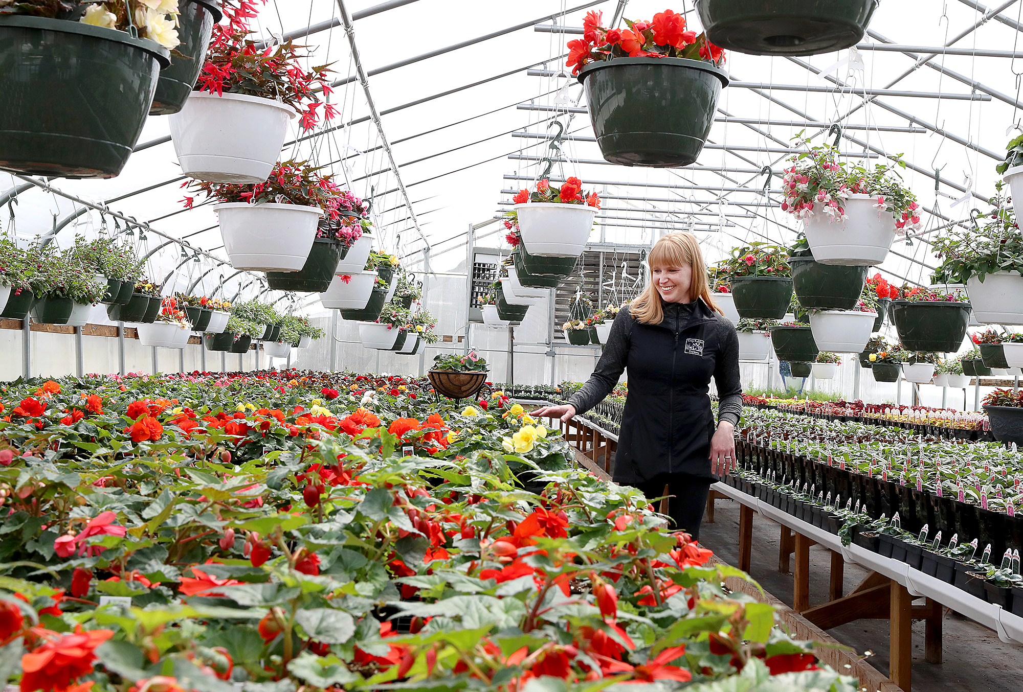After 36 years, Northland greenhouse changes hands - Vimarsana News