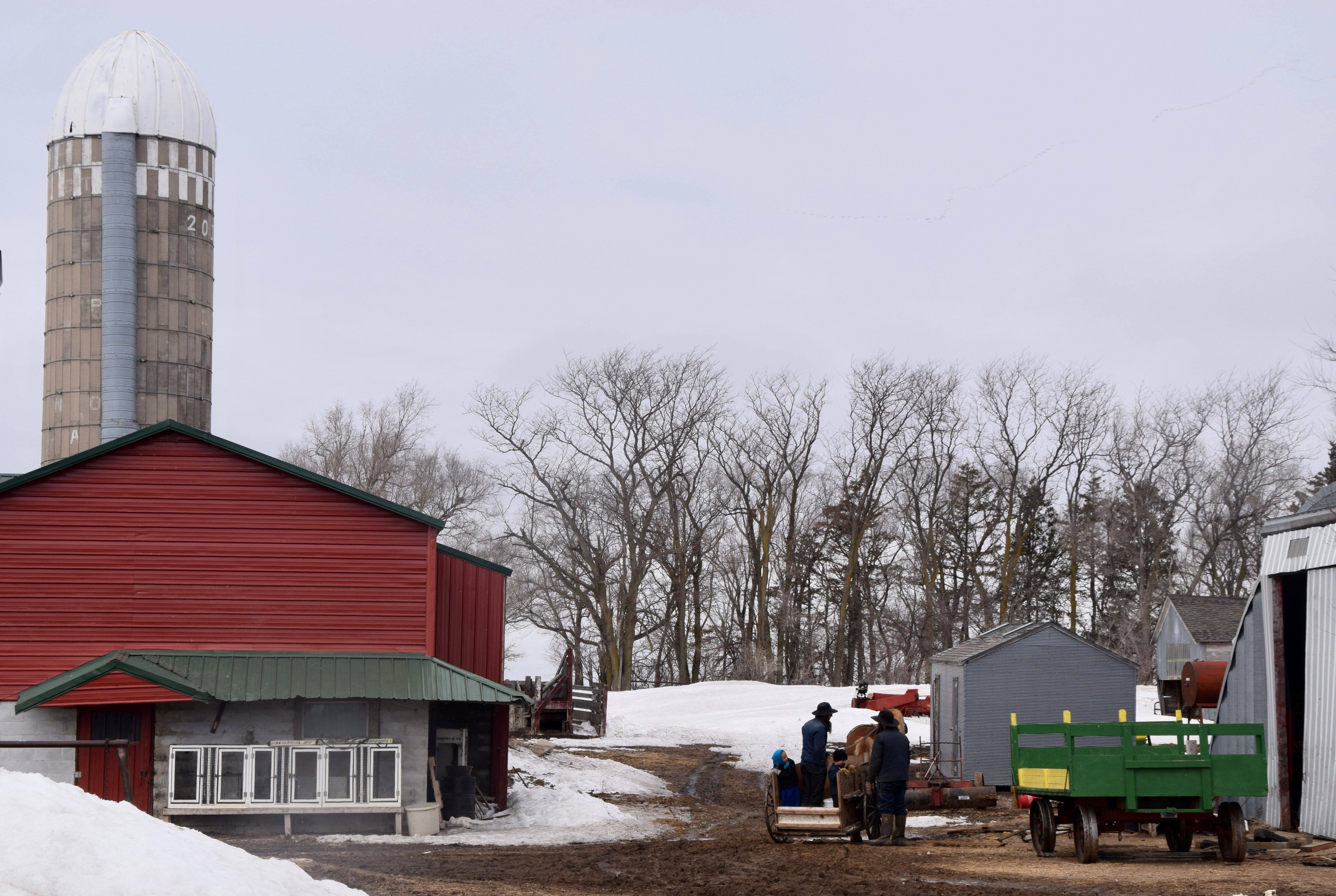 After a decade, South Dakota's Amish are moving on - Vimarsana News
