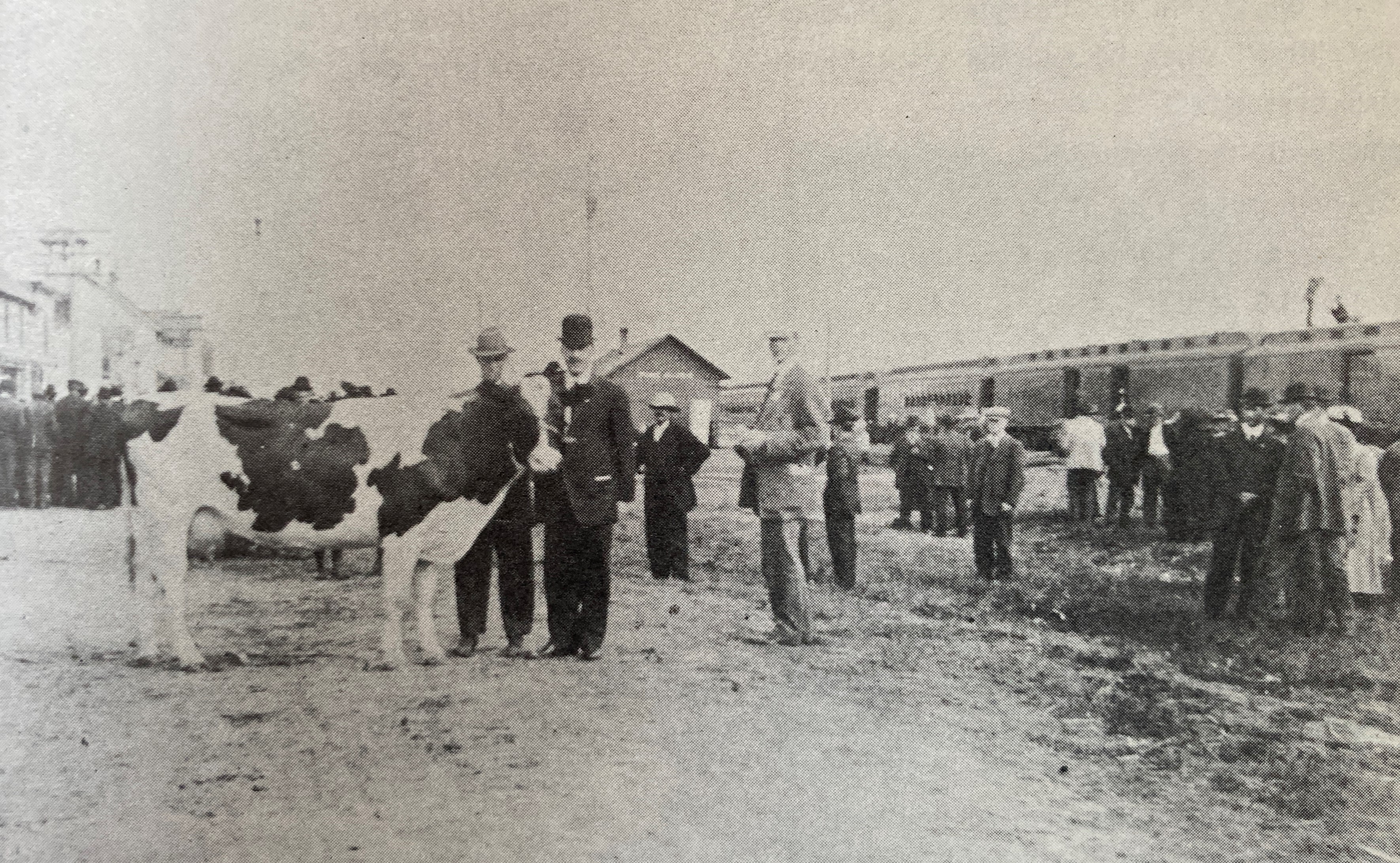 Cass County Fair is an important part of Pine River history - Vimarsana News