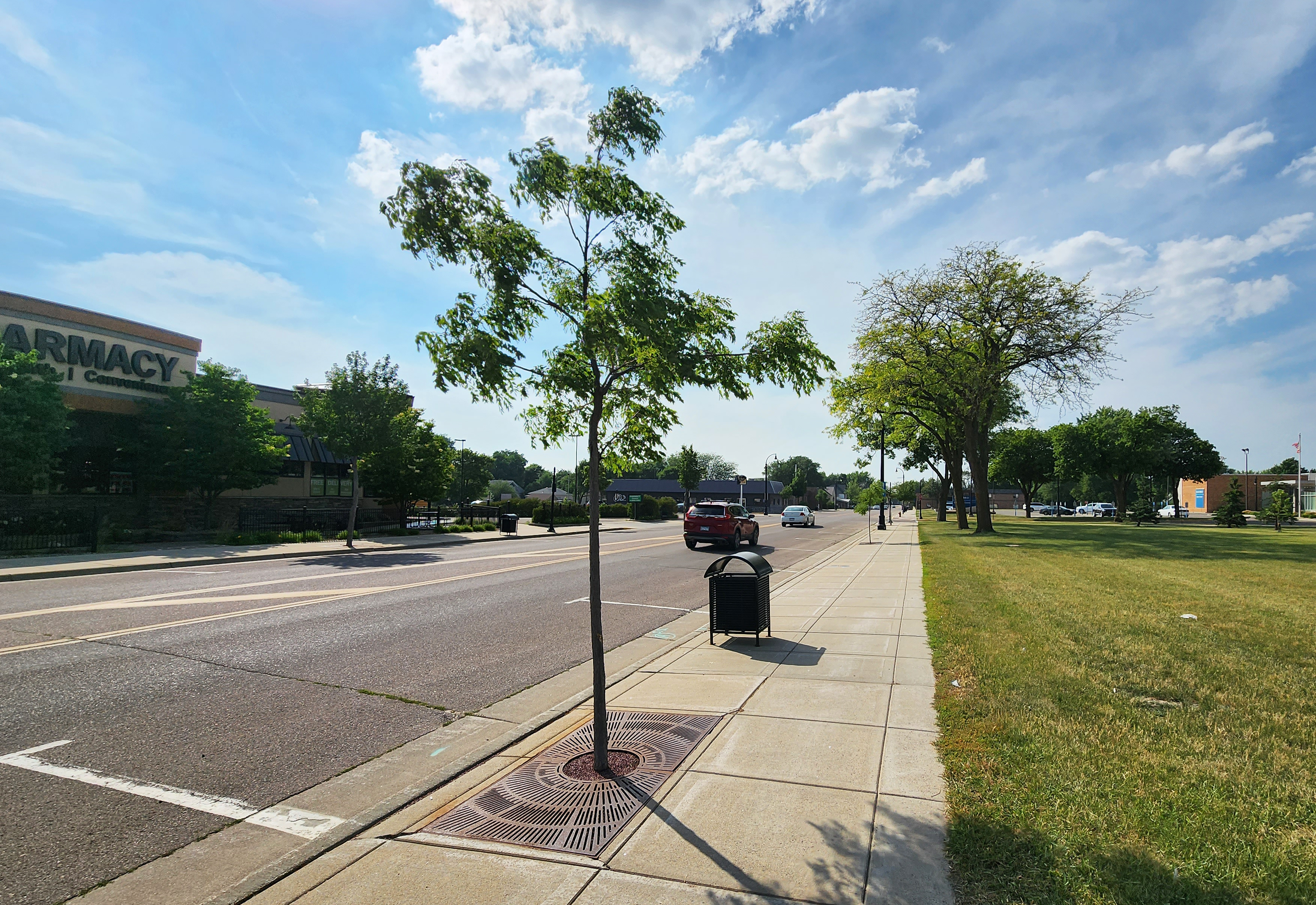 Worthington arborists offer options to consider when planting trees - Vimarsana News