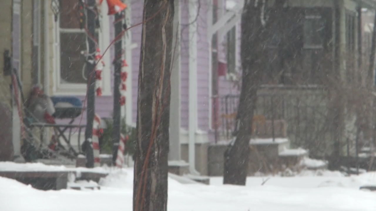   Exploding tree arent as scary as they sound , experts say - InForum | Fargo , Moorhead and West Fargo news , weather and sports