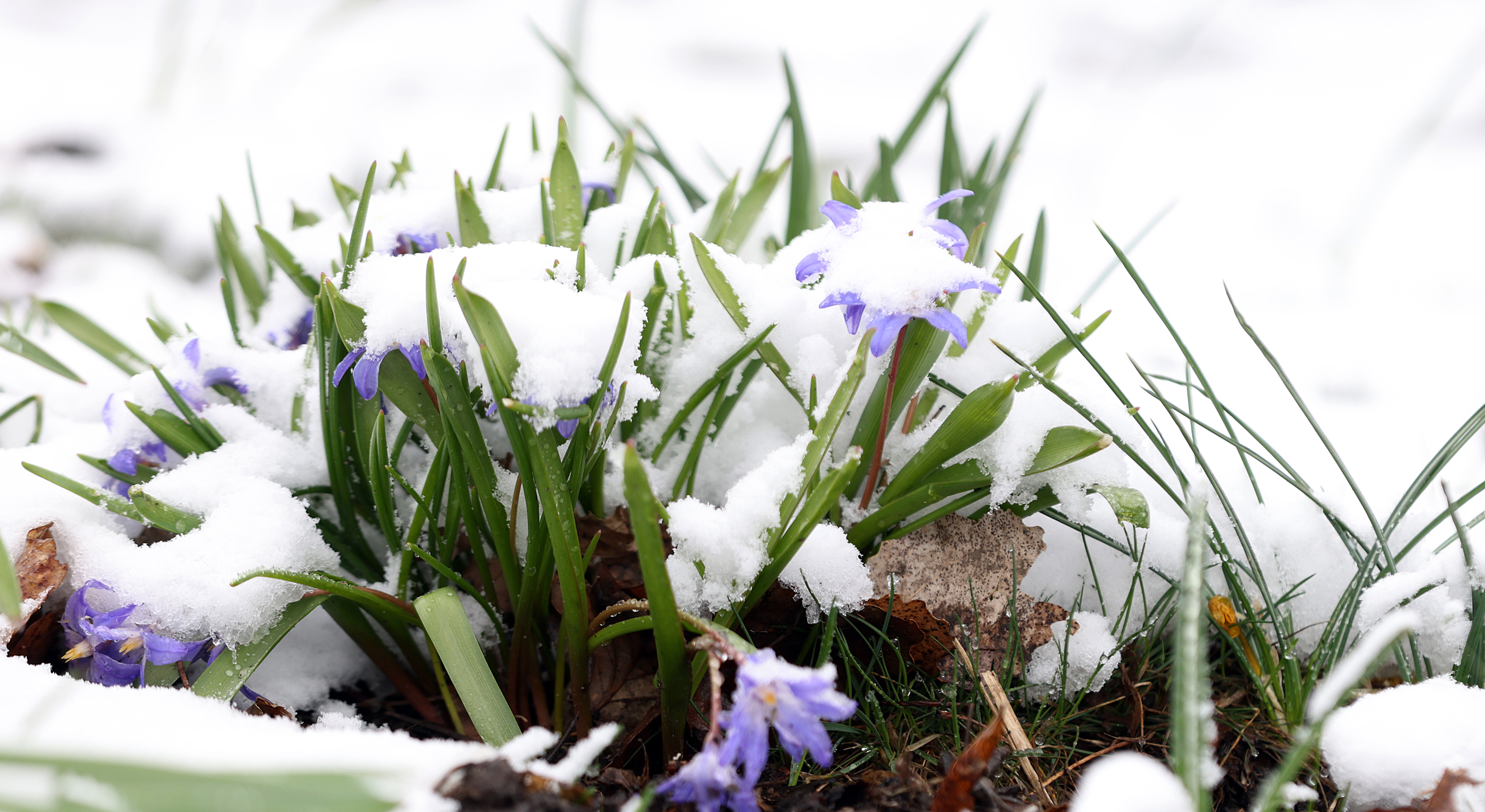 PHOTOS: Waiting for spring in southwest Minnesota - Vimarsana News