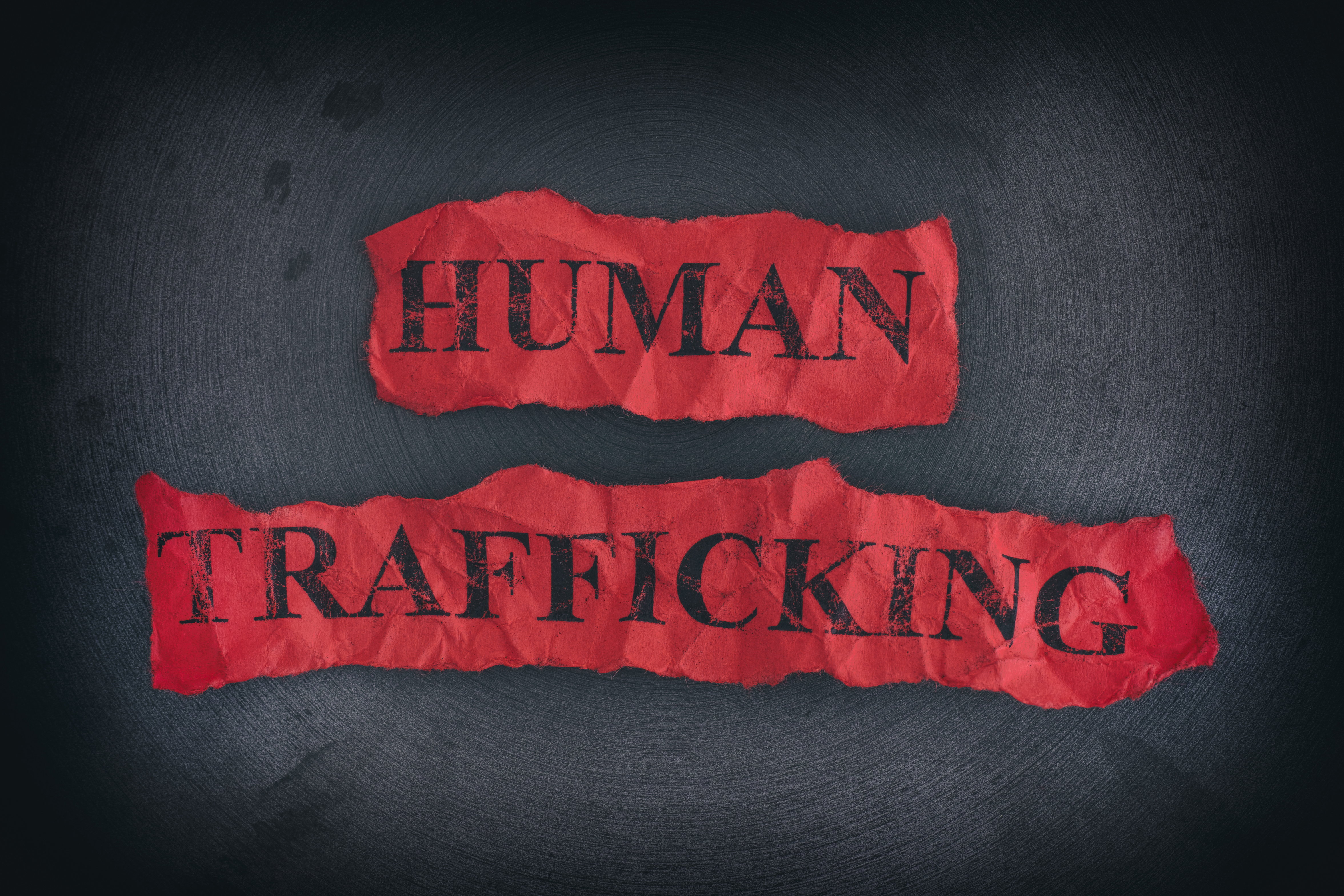 Dickinson hosts Bakken Human Trafficking Summit to combat modern-day slavery - Vimarsana News