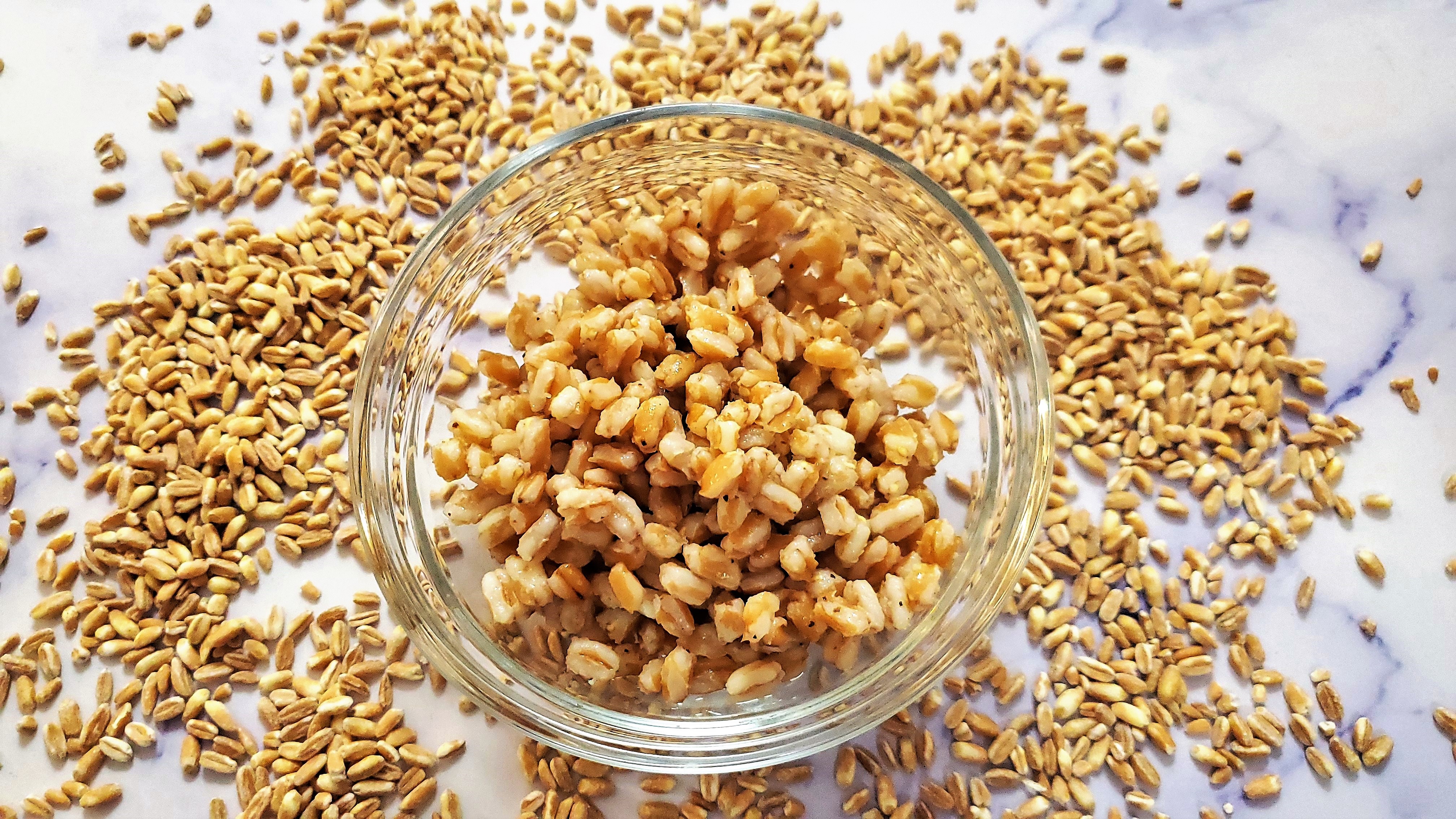 Trying to cut down on carbs and calories? Try Farro, an ancient grain common in Italian cooking - Vimarsana News