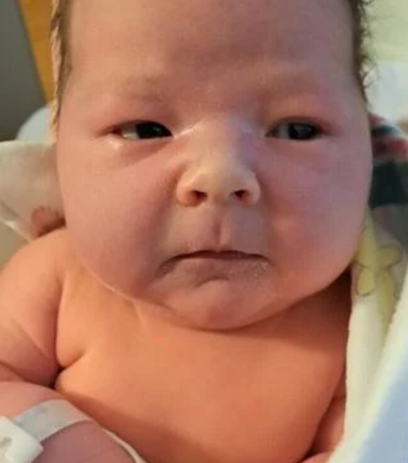 North Dakota lawmaker welcomes newborn son during session - Vimarsana News