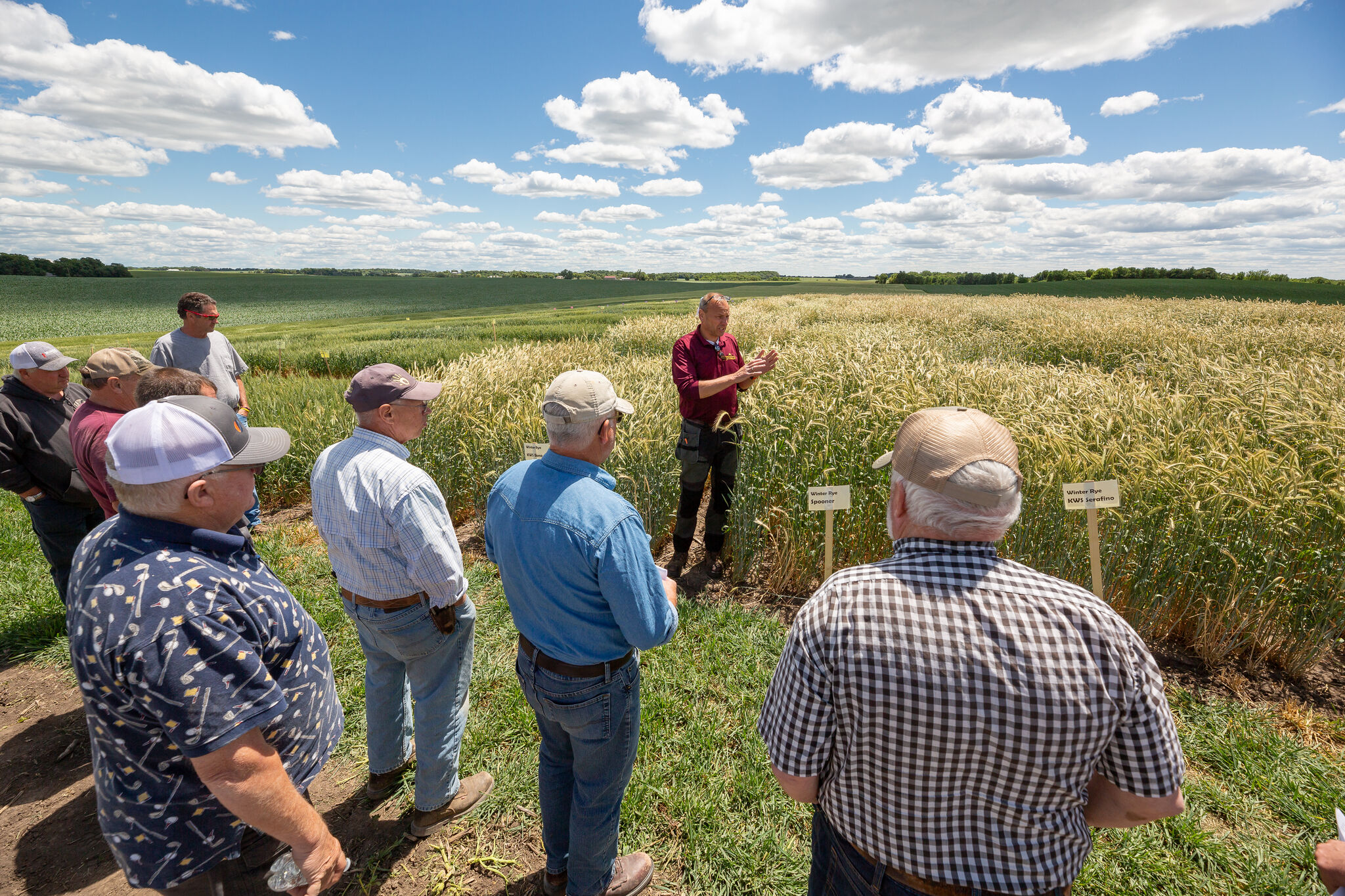 2022 farm profits were the second highest among the historical records in Minnesota - Vimarsana News