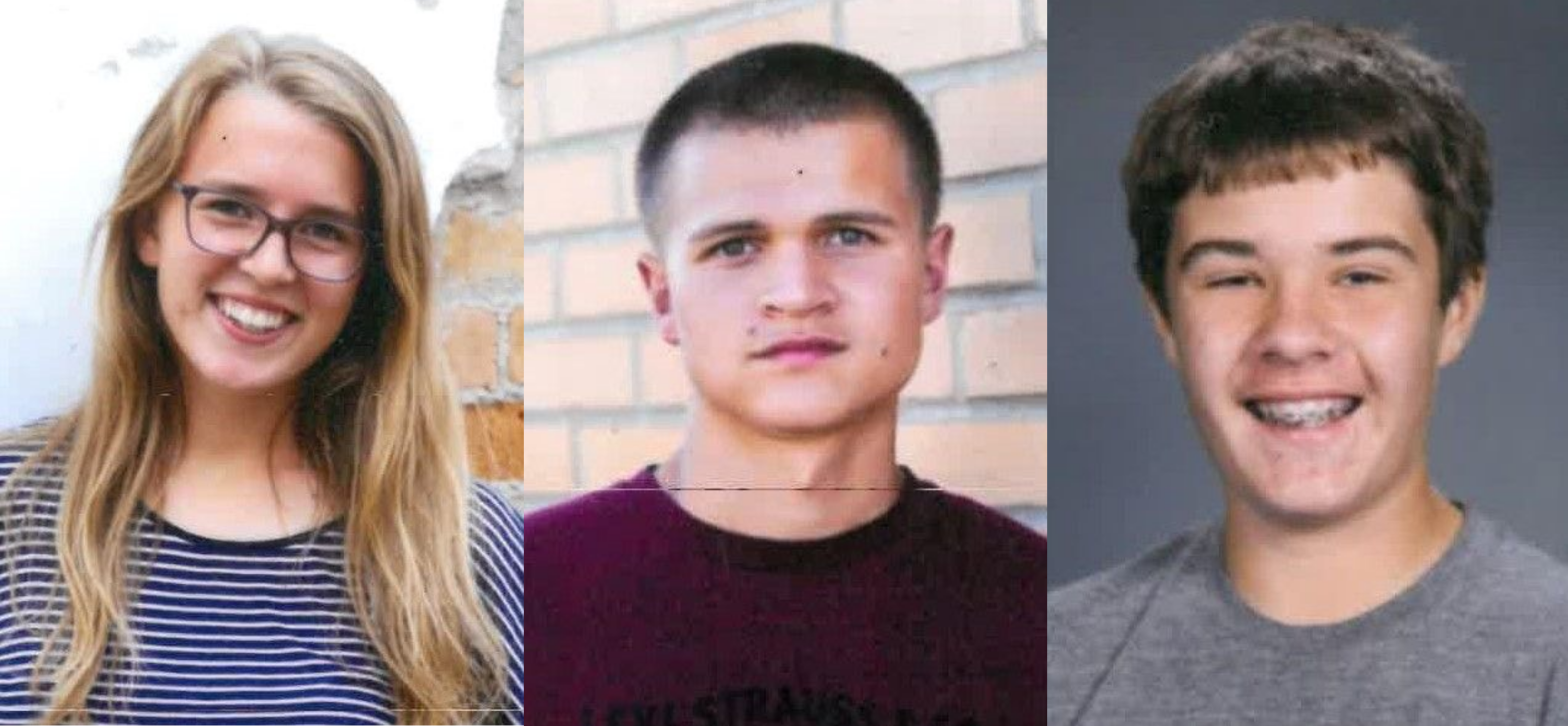 Wadena-Deer Creek students score high in piano theory exam - Vimarsana News