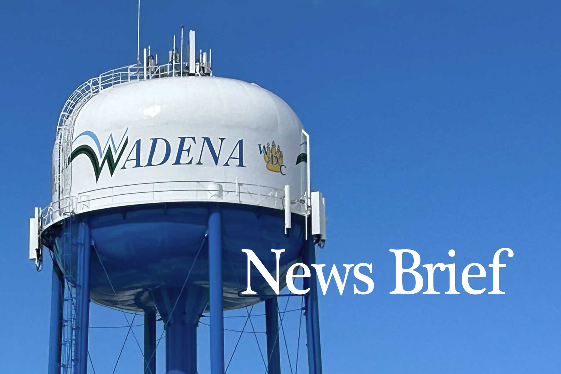 Wadena City Library hosts author discussion May 20 - Vimarsana News