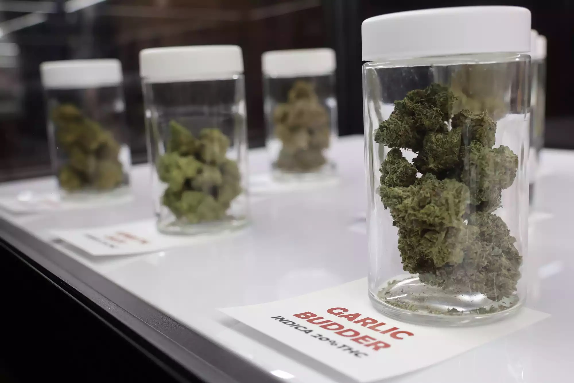 Sole GOP lawmaker on Minnesota cannabis negotiating panel shares concerns about rollout - Vimarsana News